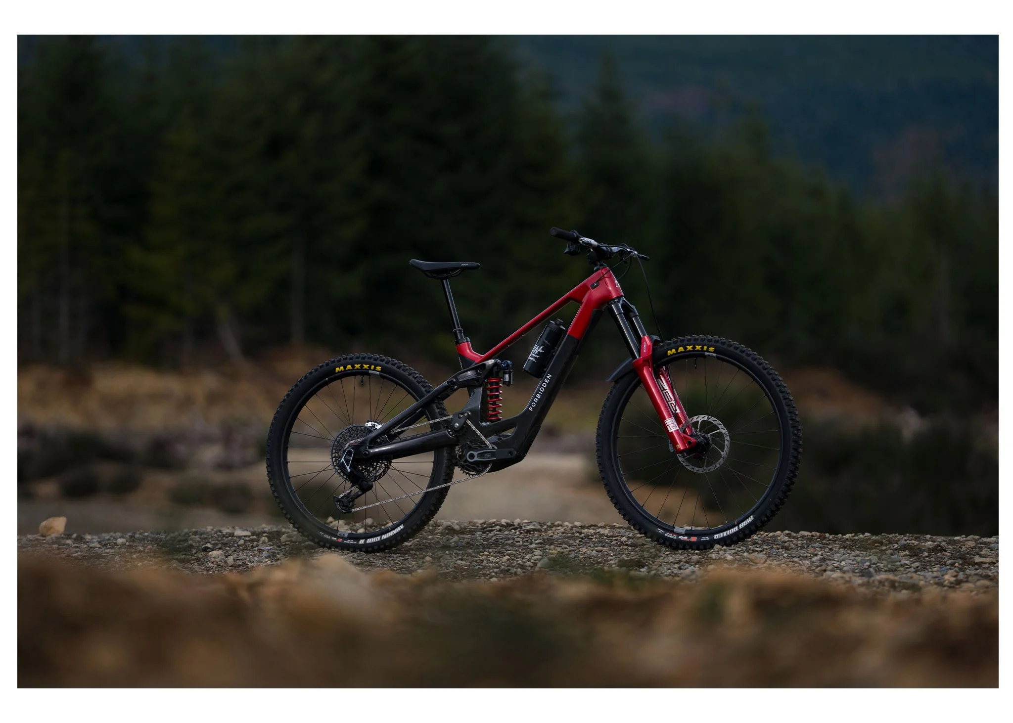 justinross_forbidden-bikes_linkedin-3.jpg