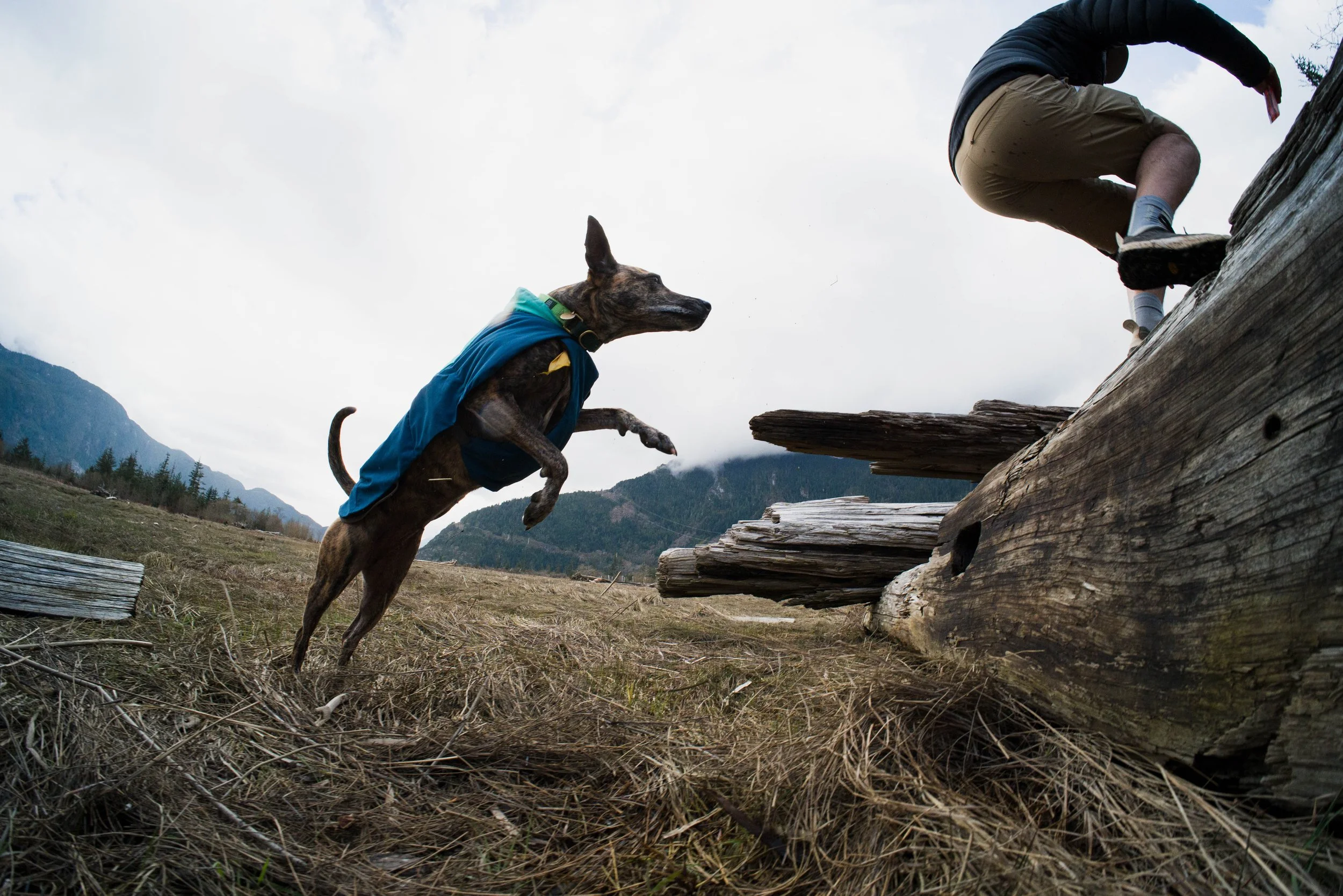 fraps_squamish_justinross_05.04.26_web-ready-177.jpg