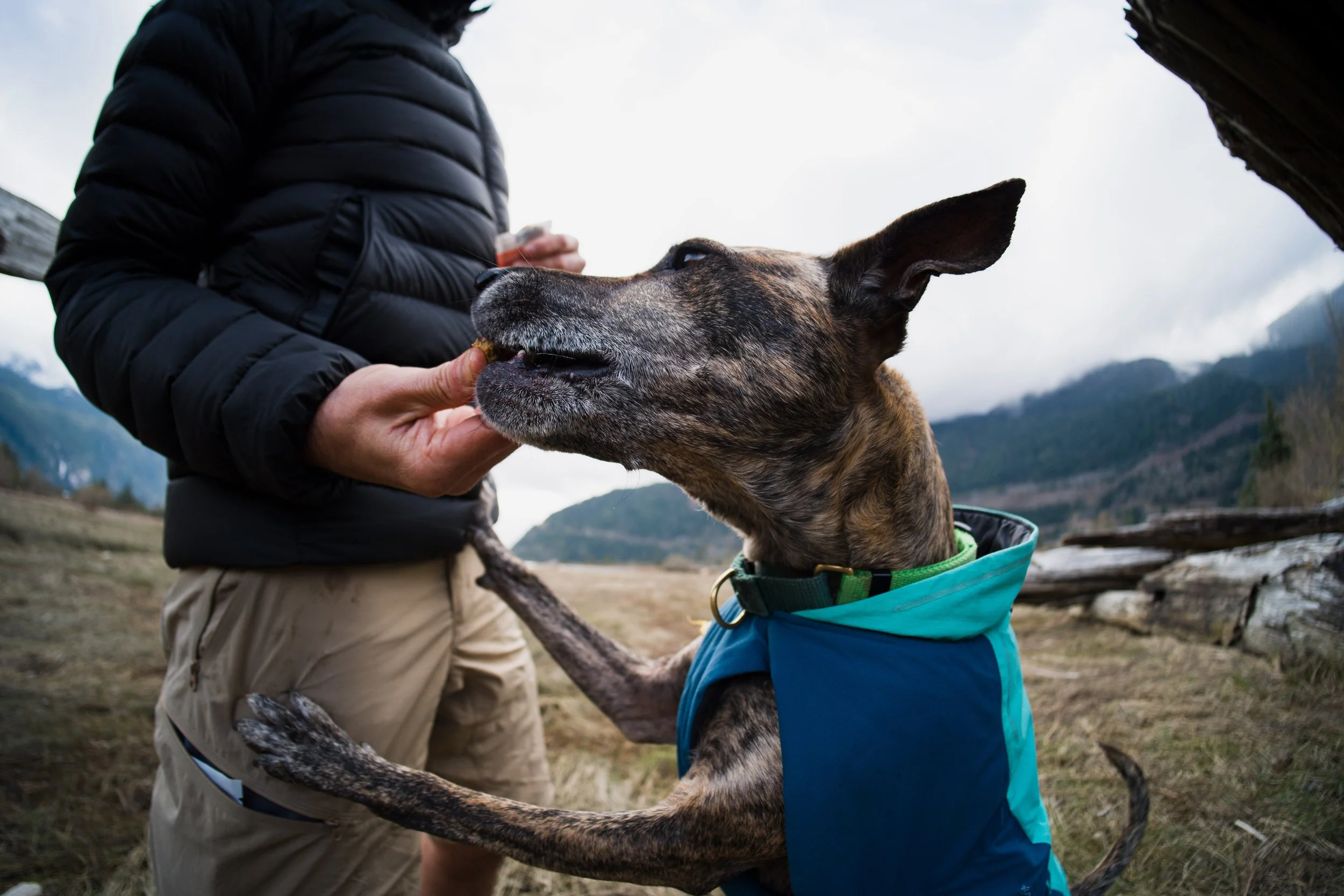 fraps_squamish_justinross_05.04.26_web-ready-175.jpg