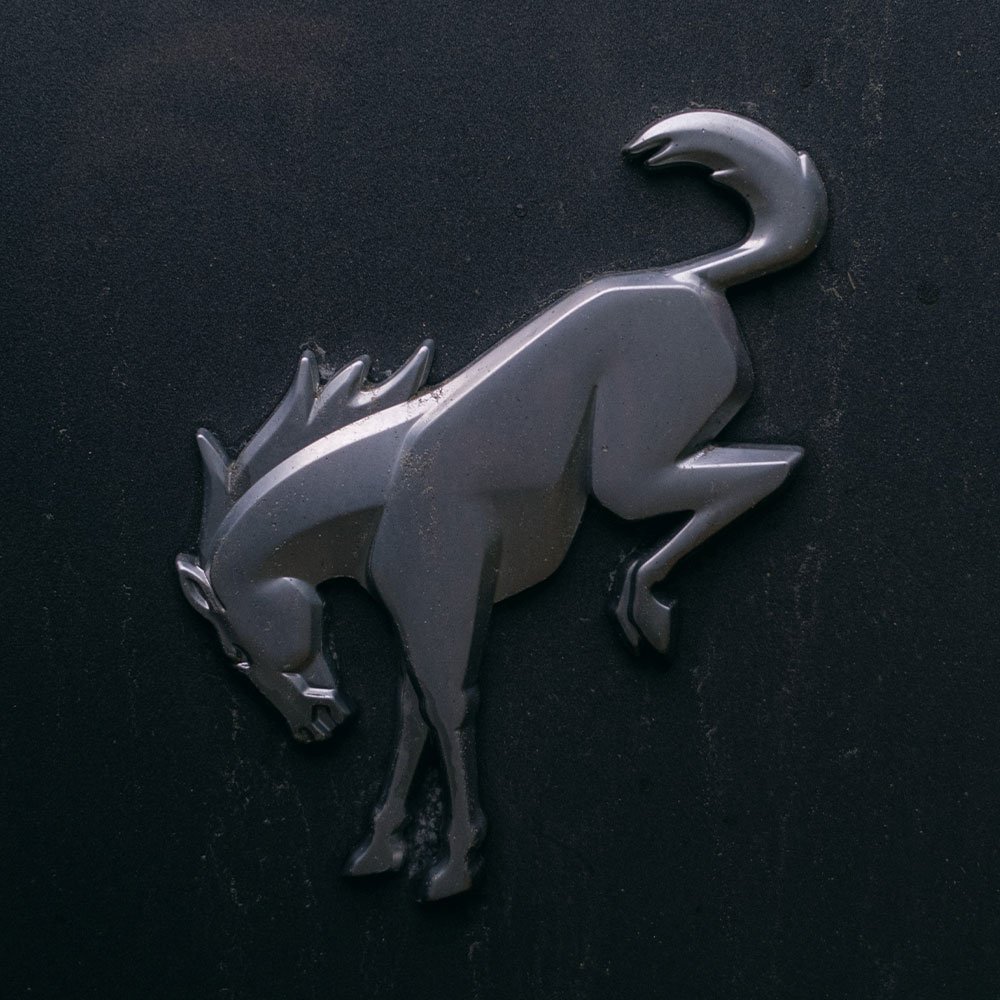FORD BRONCO X PARIS GORE X MICAYLA GATTO