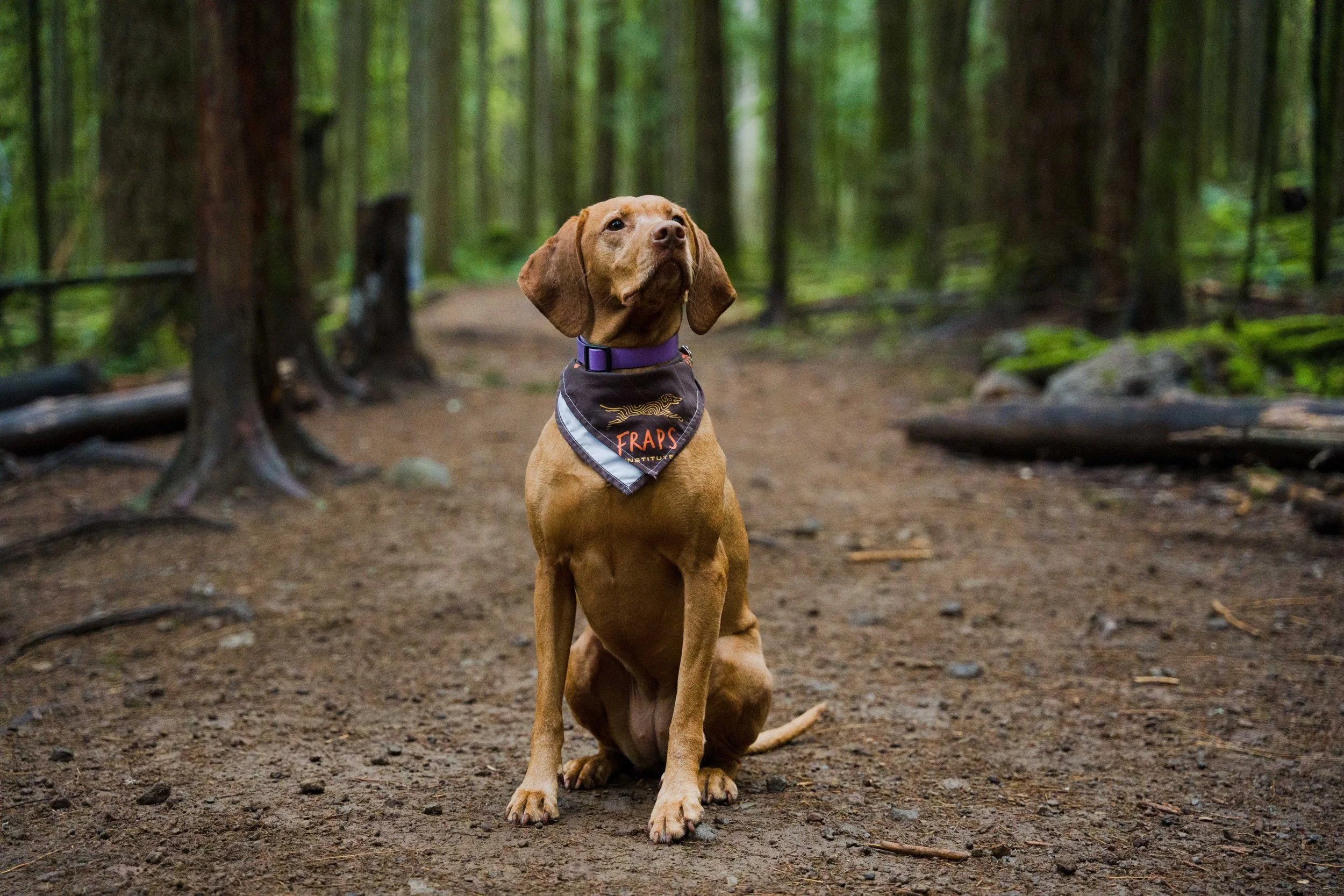 fraps_squamish_justinross_05.04.26_web-ready-70.jpg