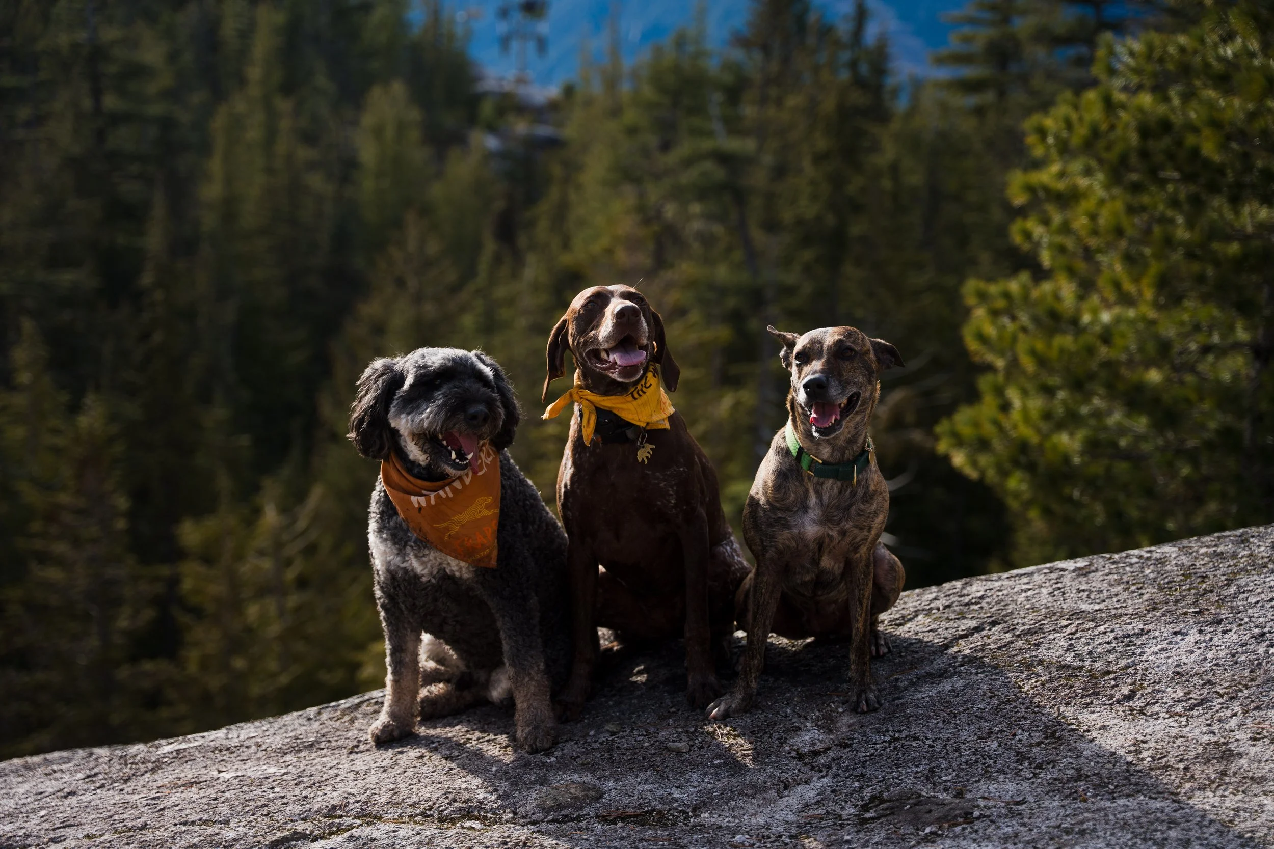 fraps_squamish_justinross_05.04.26_web-ready-242.jpg
