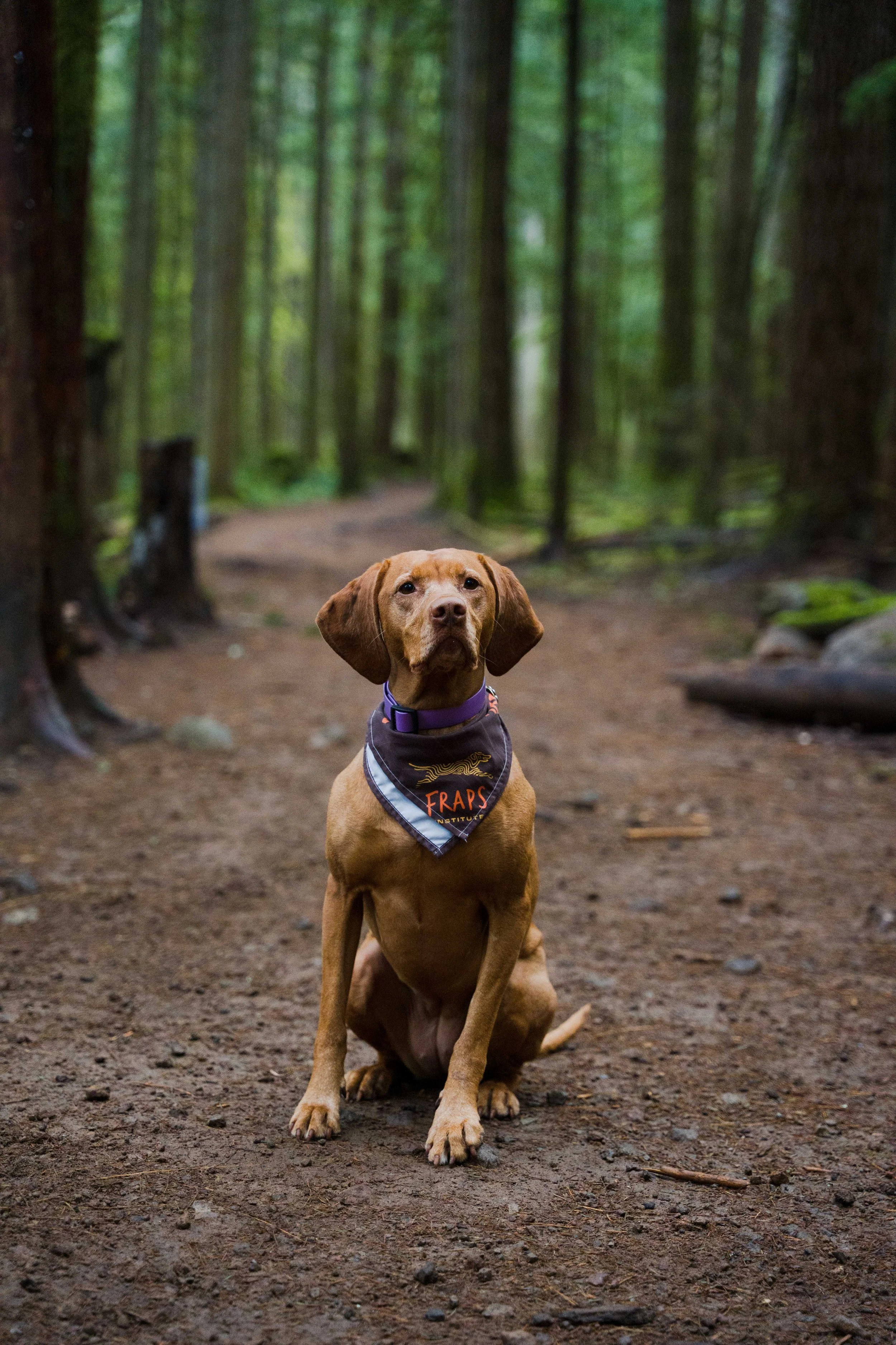 fraps_squamish_justinross_05.04.26_web-ready-71.jpg