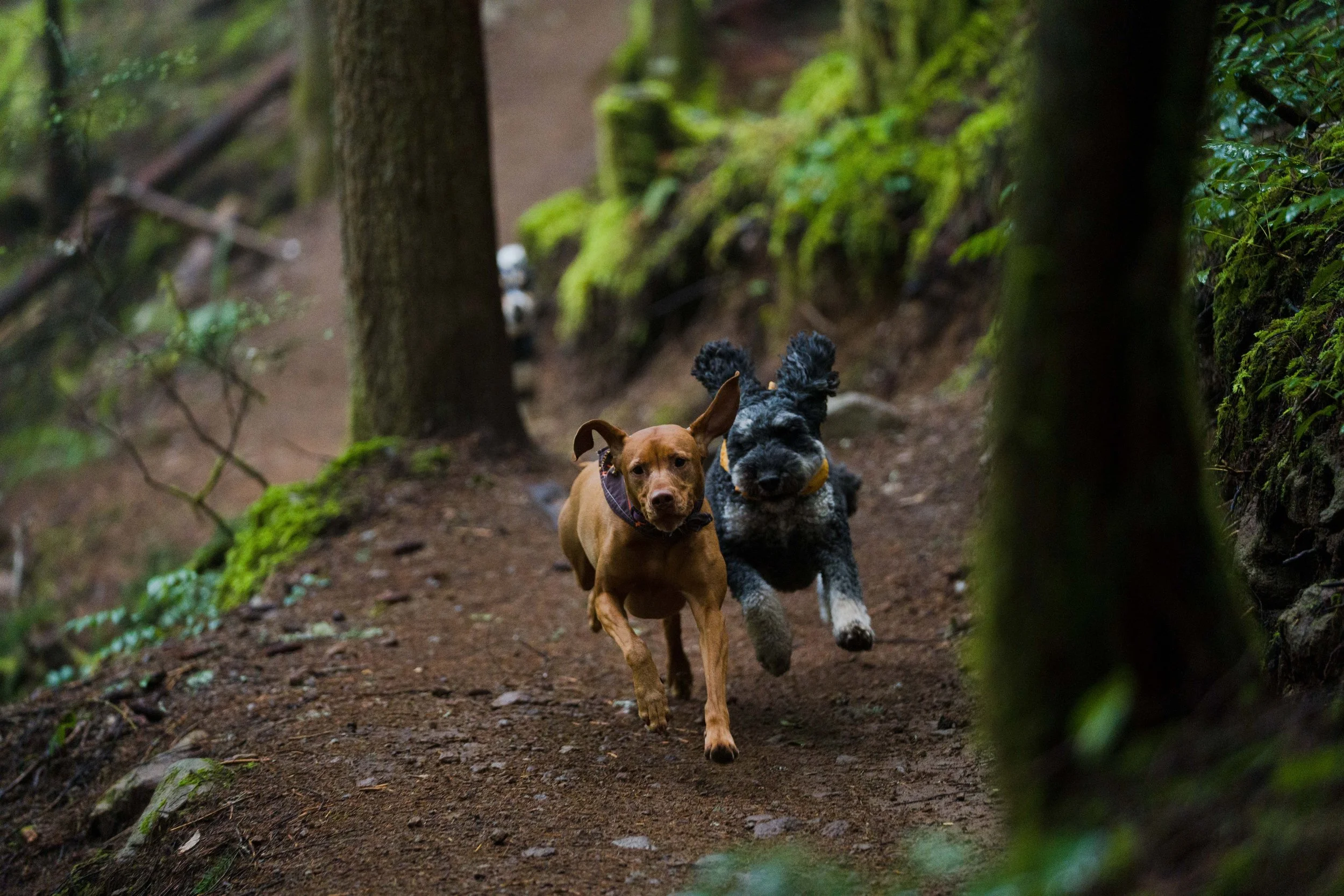 fraps_squamish_justinross_05.04.26_web-ready-31.jpg