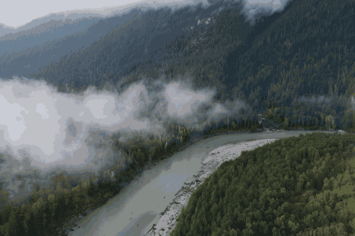clip 2.gif