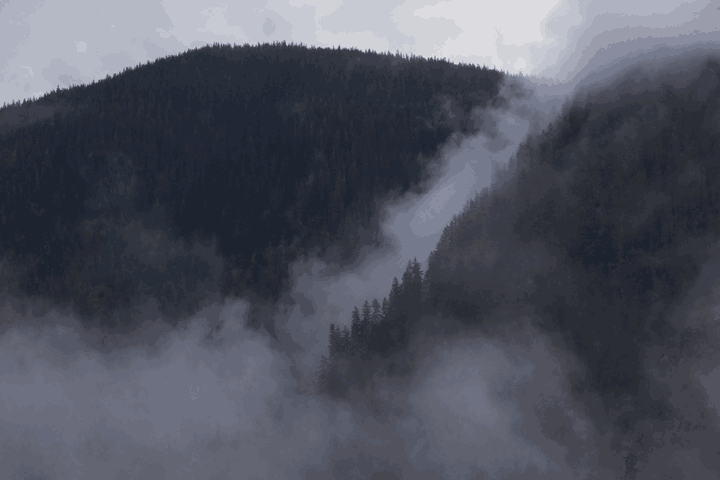 clip .gif
