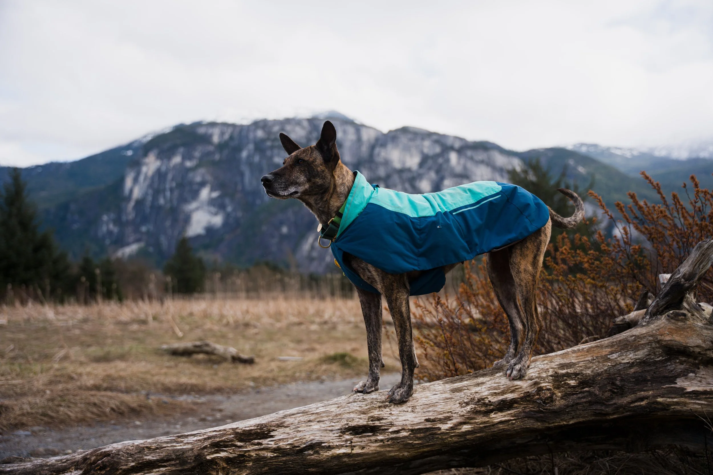 fraps_squamish_justinross_05.04.26_web-ready-153.jpg