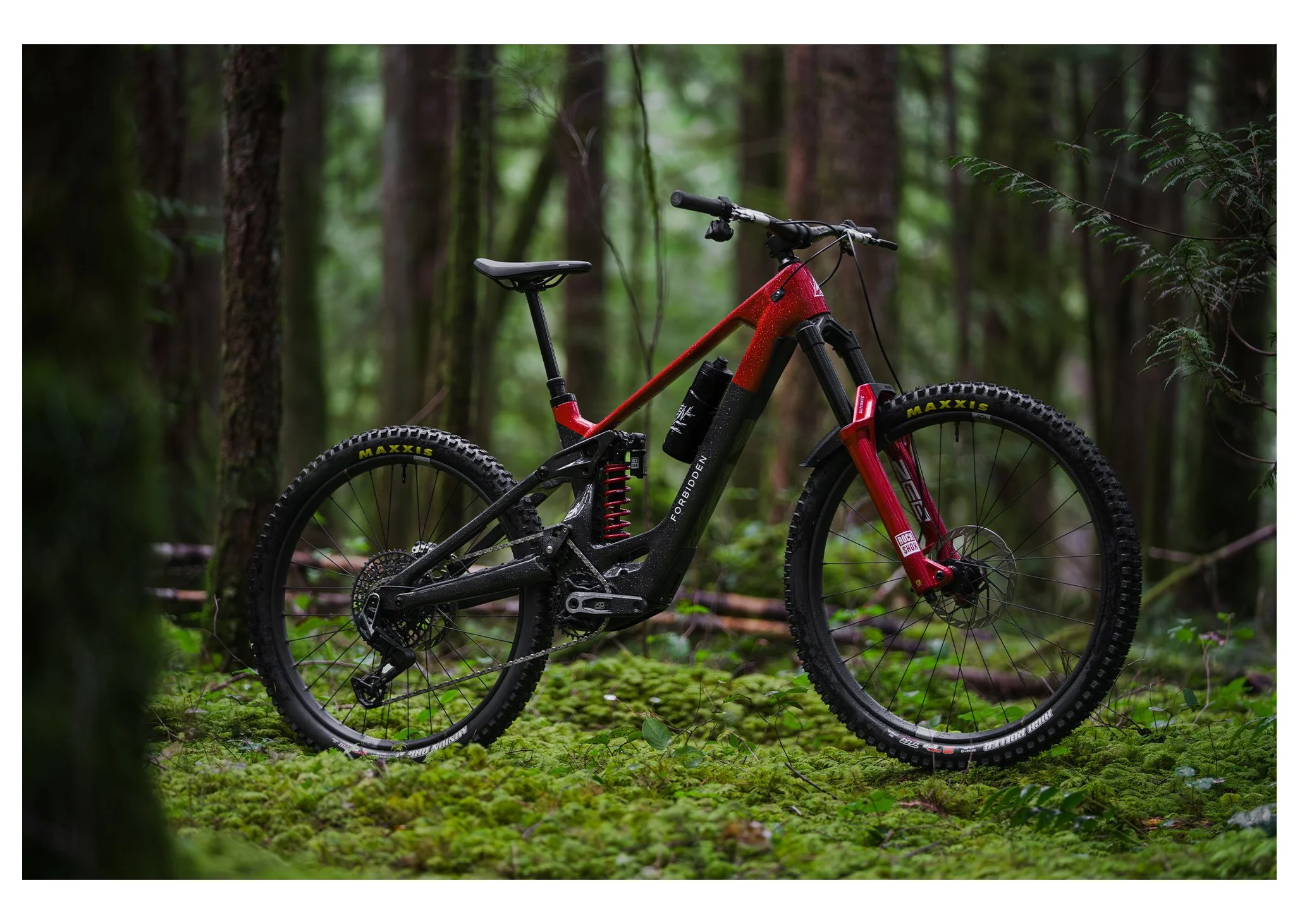 justinross_forbidden-bikes_linkedin-5.jpg