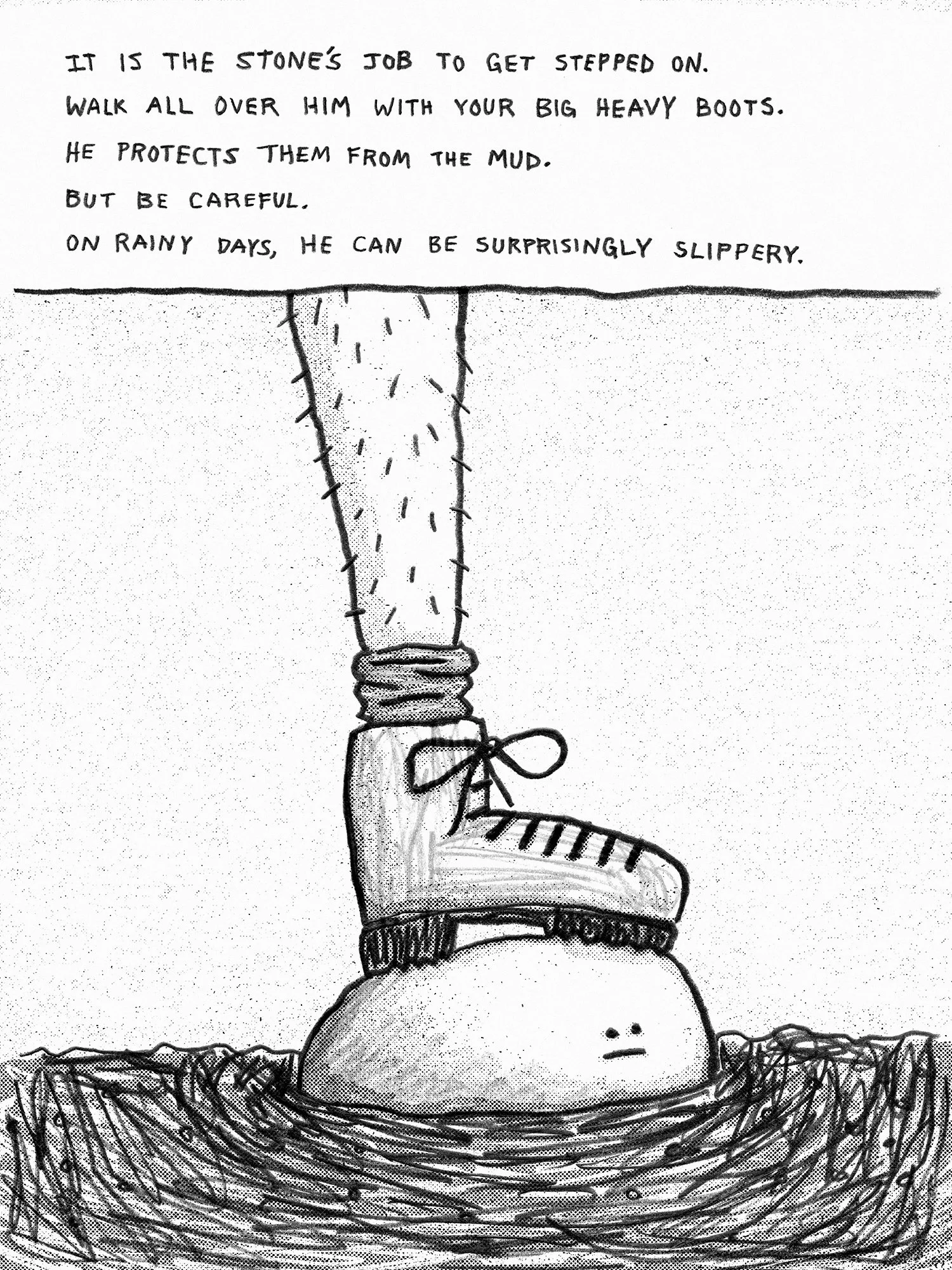SlipperyStone.jpg