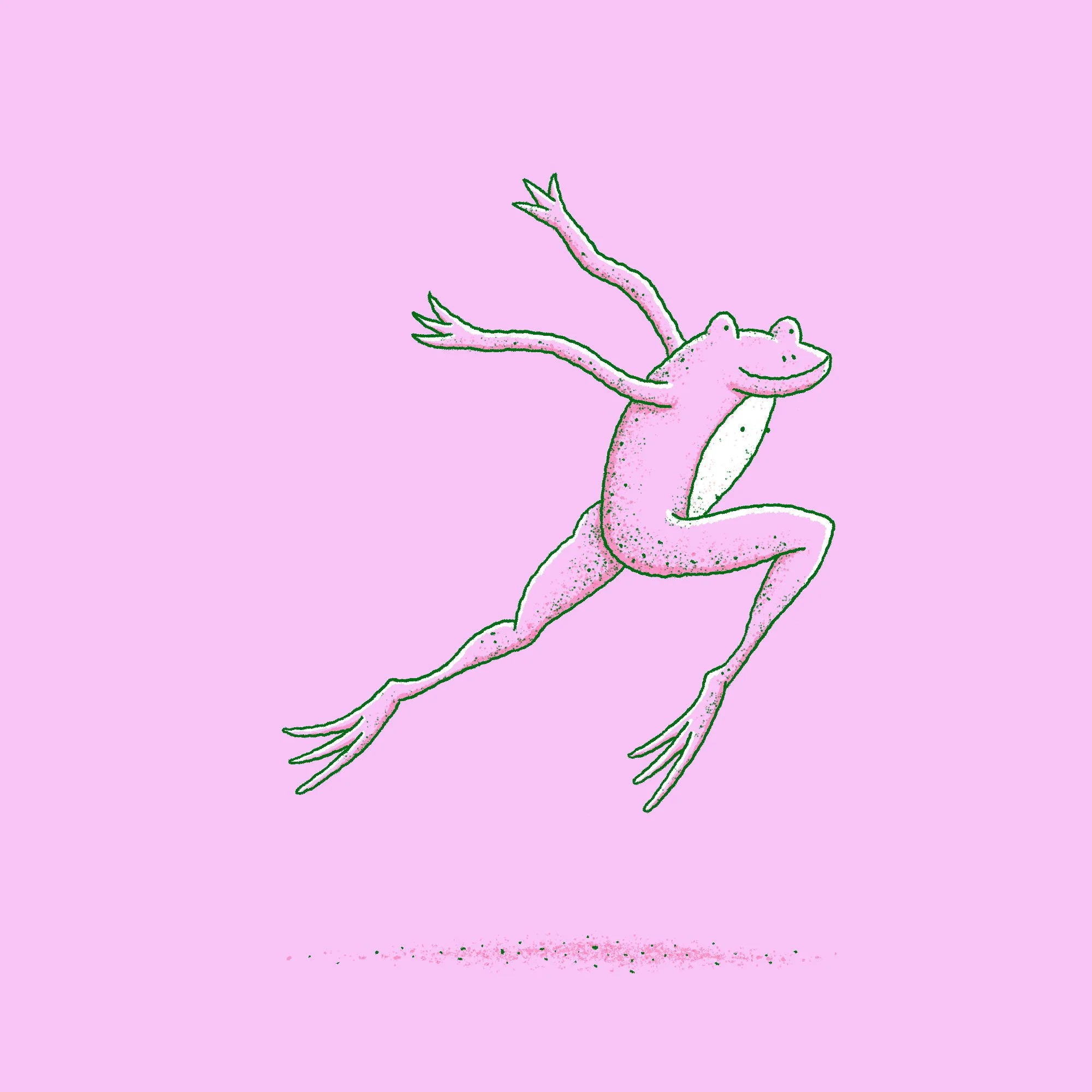 frog3.jpg