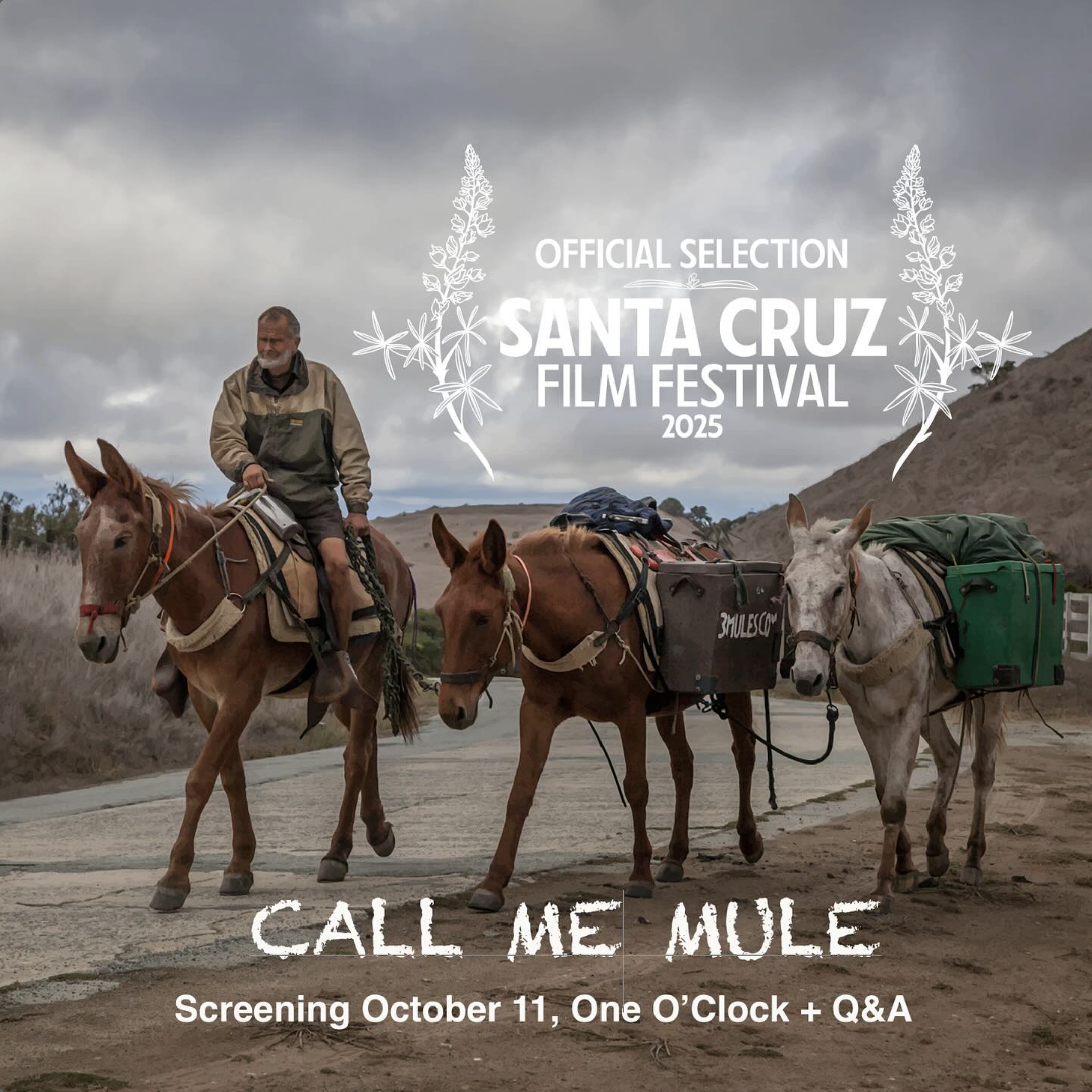 CALL ME MULE SCREENING