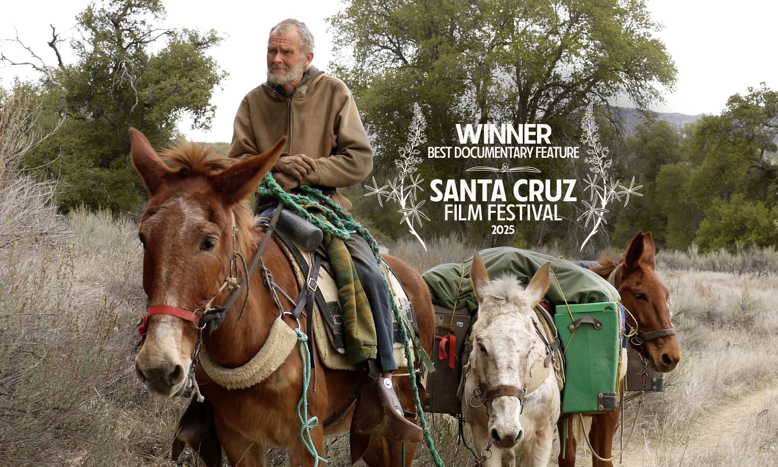 WINNER BEST DOCUMENTARY FEATURE