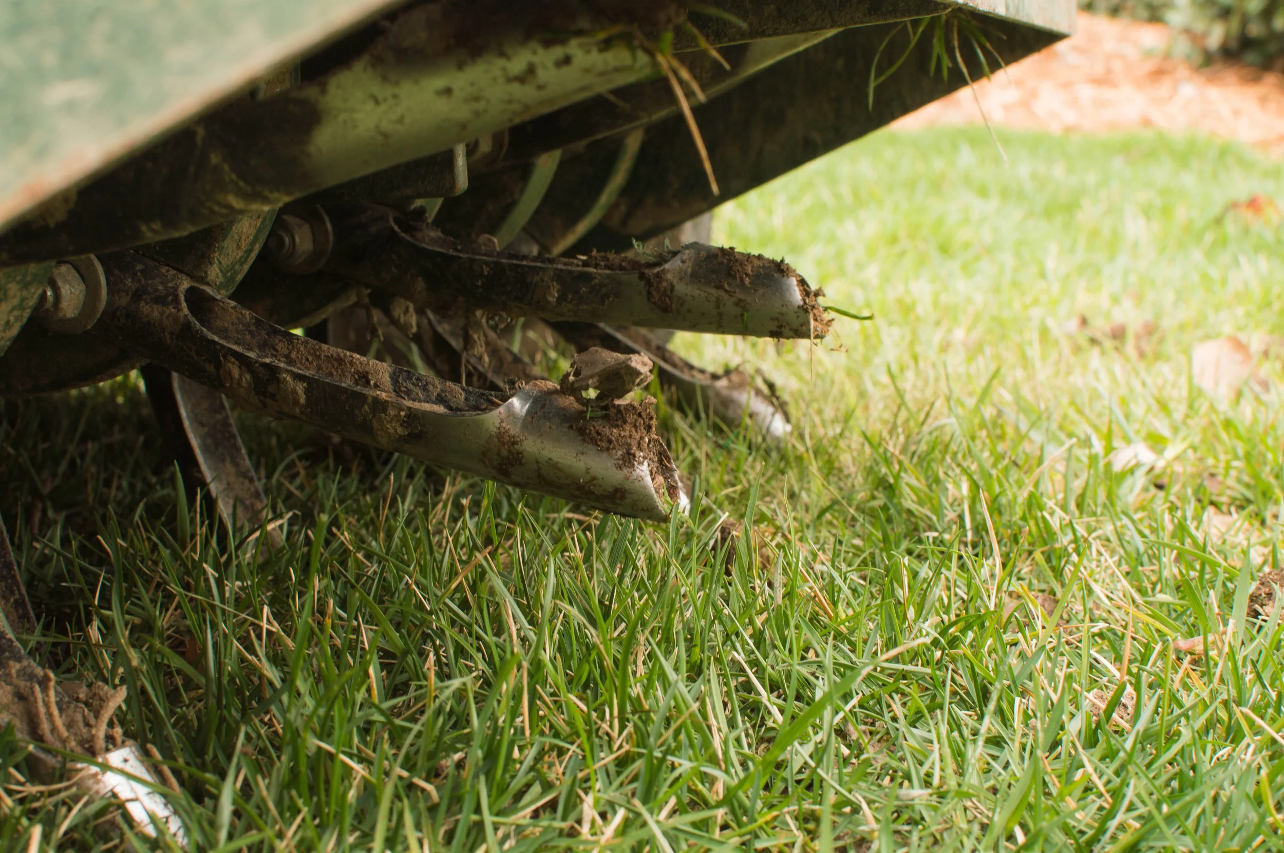Close-up of the underside of a lawnmower, showing blades and engine components covered in dirt, resting on green grass.
