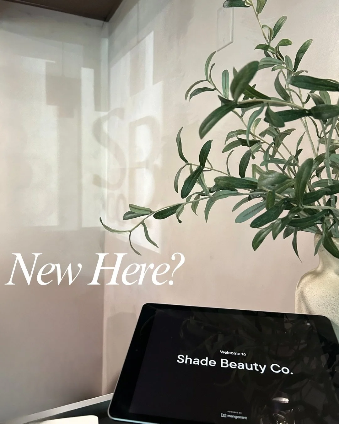 What to expect as a new client, and the reason our clients keep coming back 🤍✨

Because you deserve an honest, welcoming, intentional, and customized experience- every time.

Thank you for trusting us with your beauty + wellness 🤍✨