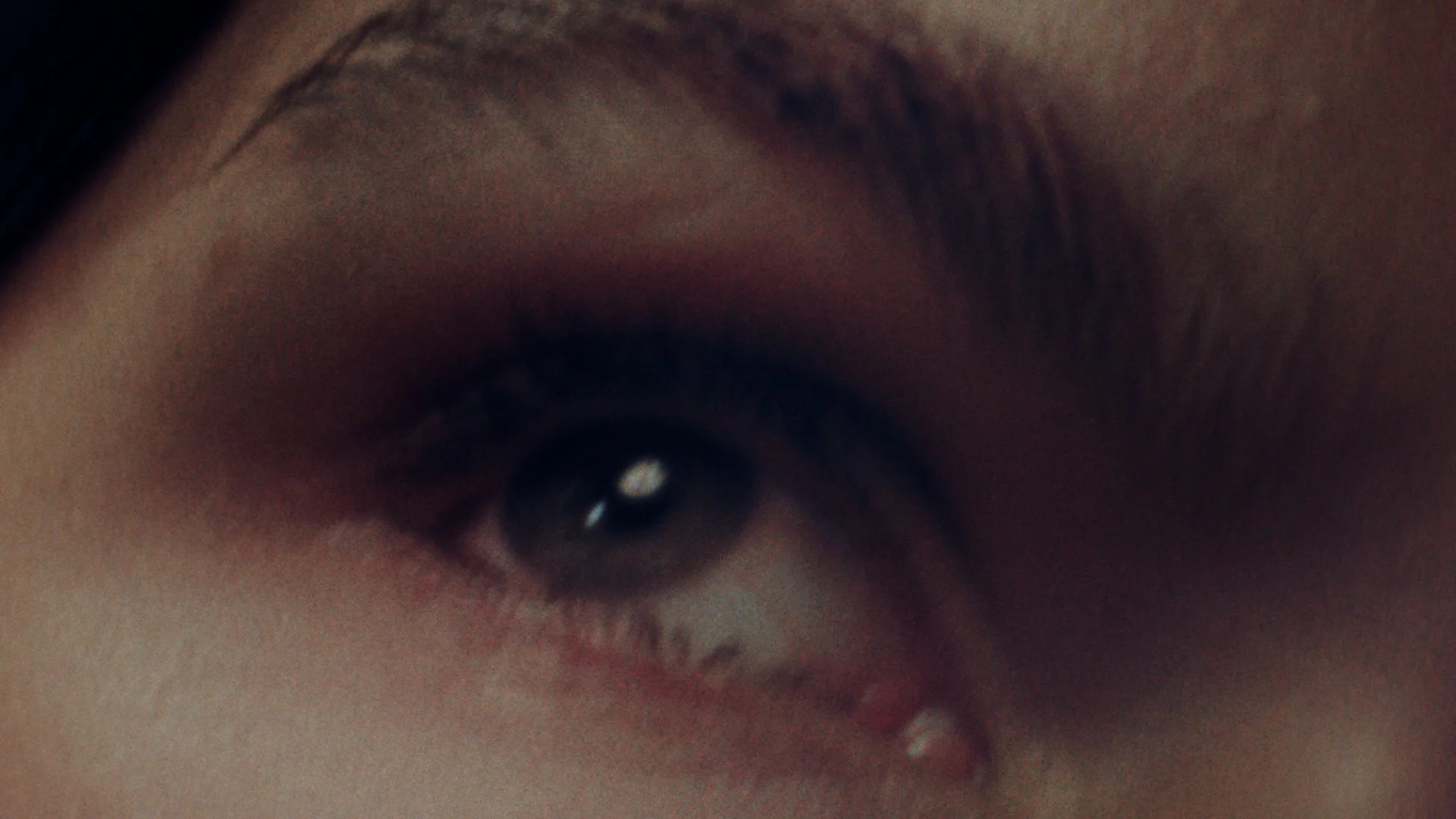 Still 2025-09-01 161133_1.16.1.jpg