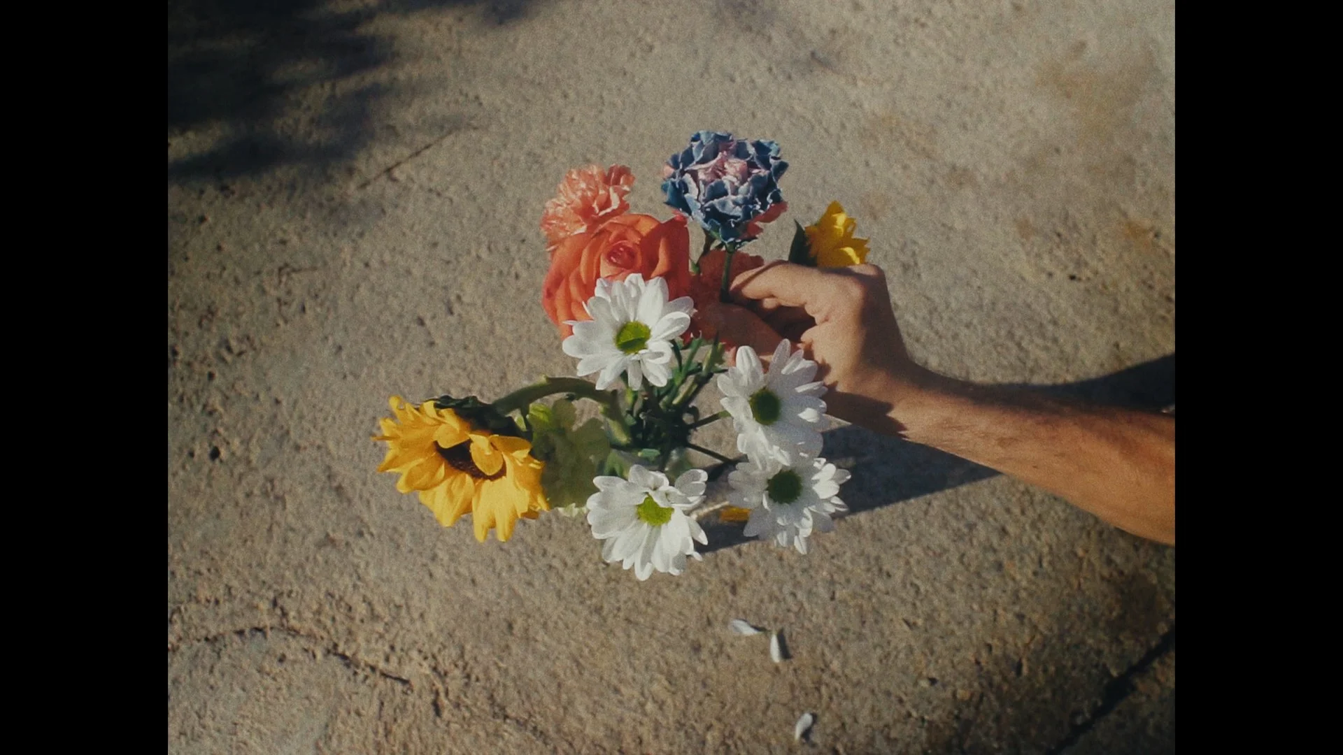 Still 2024-10-09 170803_1.29.1.jpg