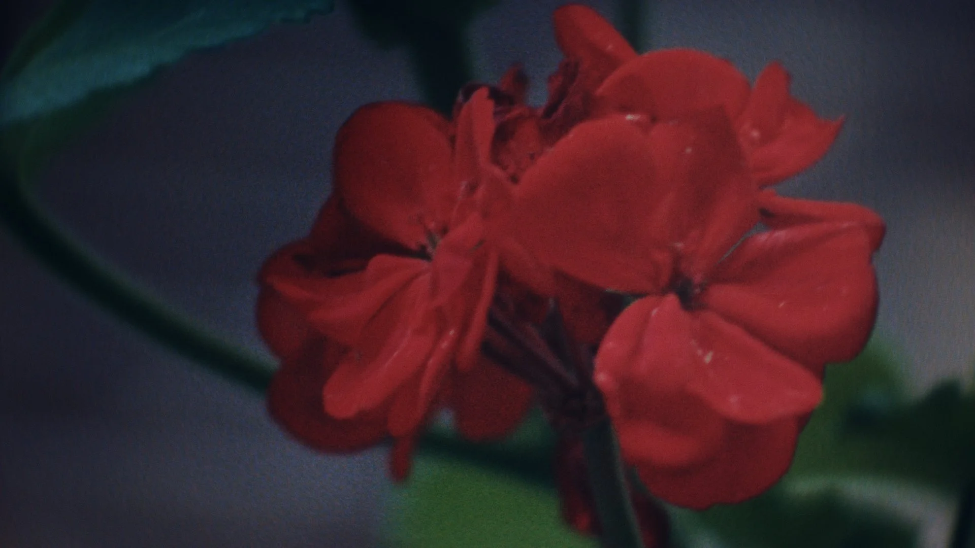 Still 2025-09-01 161133_1.19.1.jpg