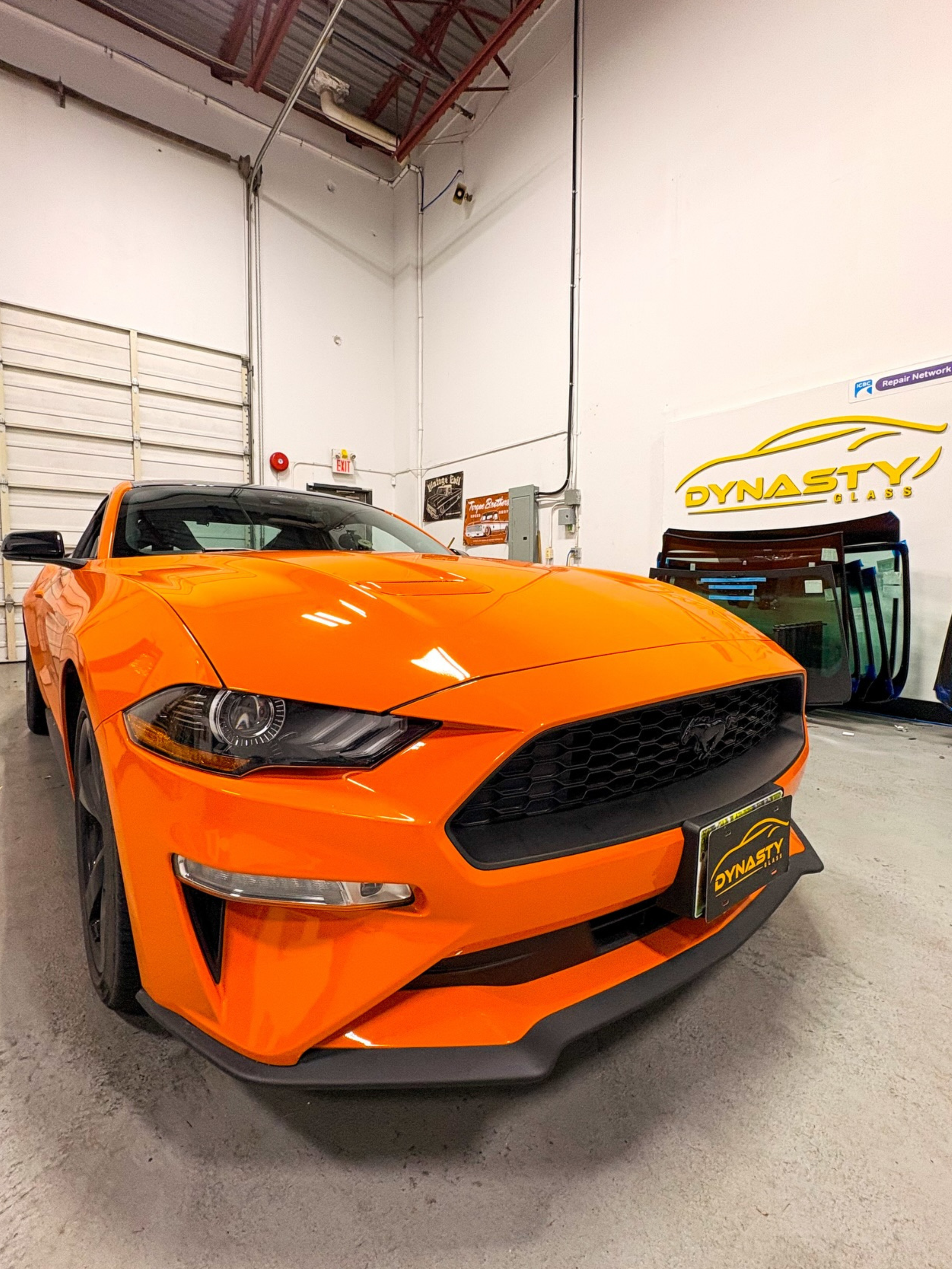 Untitled design (8).png