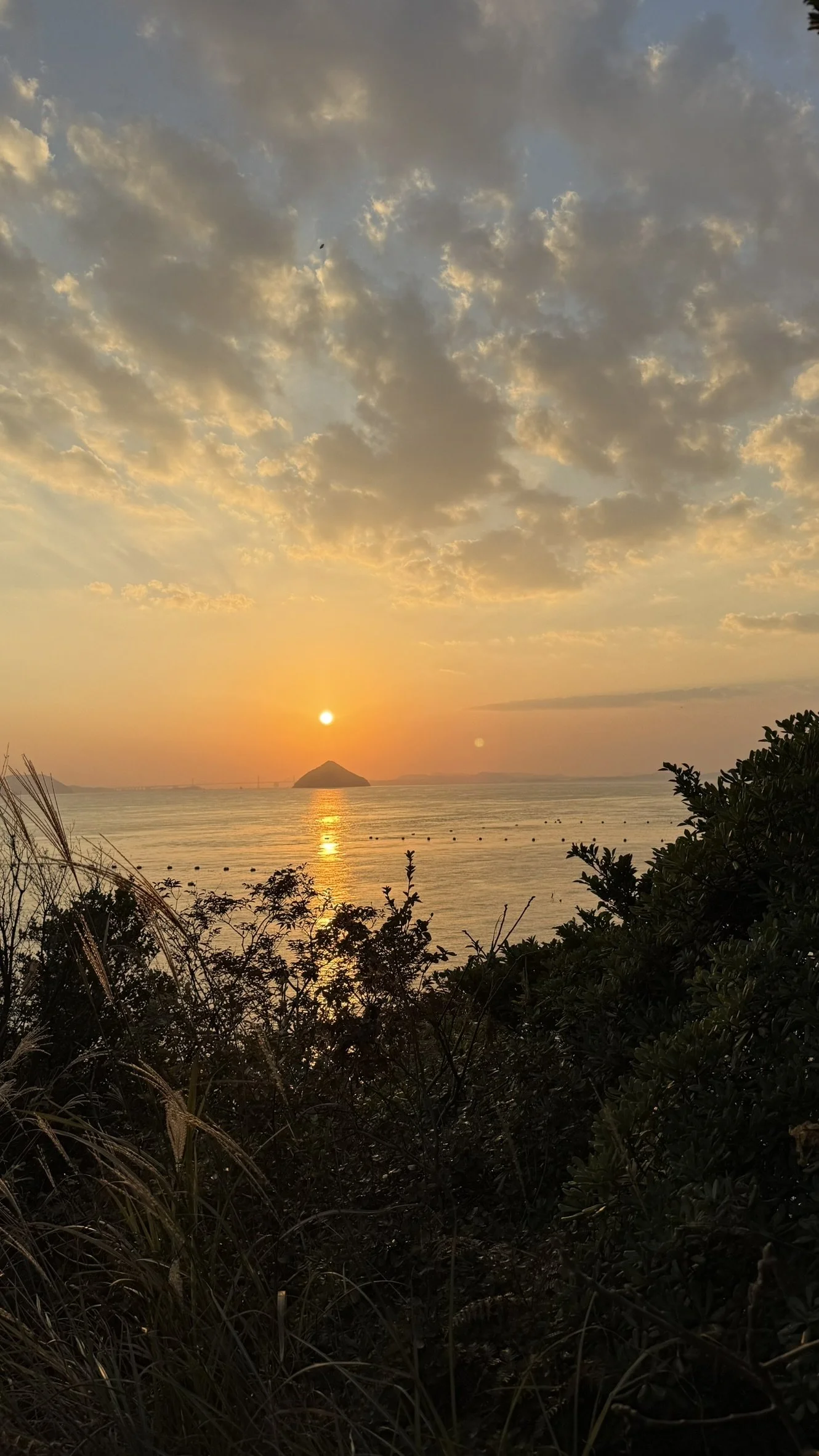 IMG_0217.JPEG