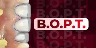 B.O.P.T.Integrating Traditional and Digital Approaches.jpeg