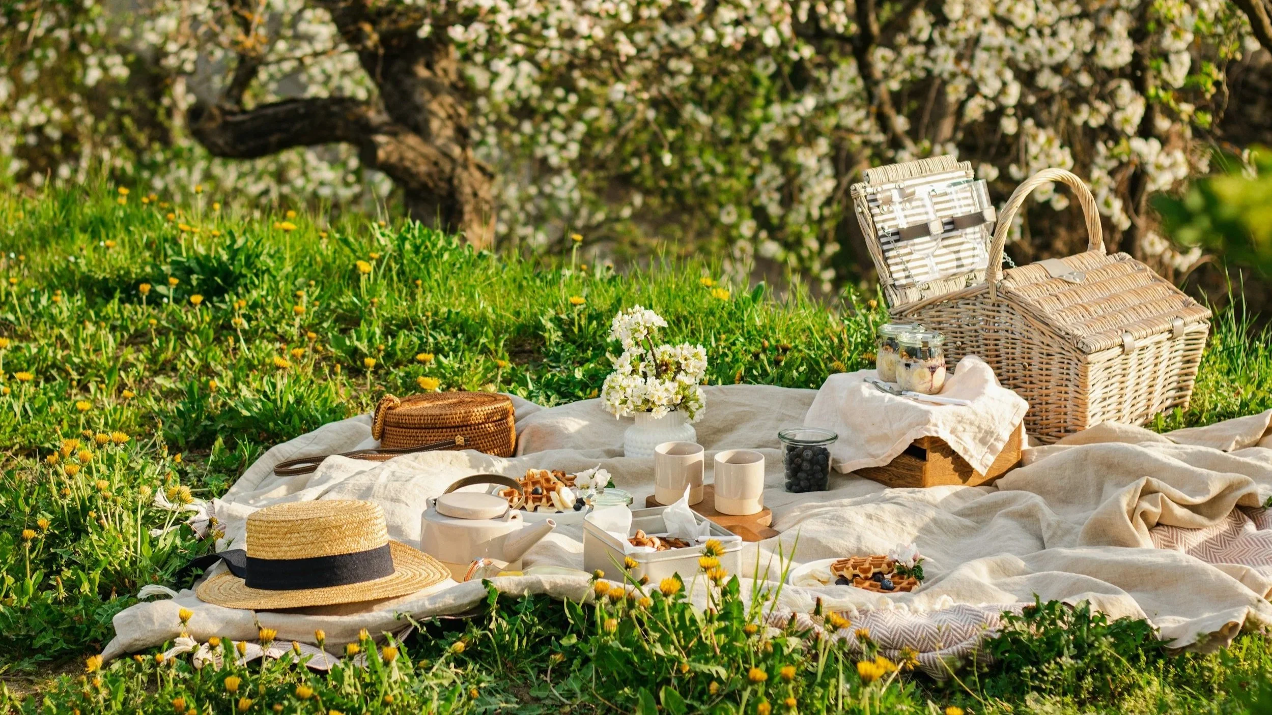 The Best Healthy Picnic Foods With Protein