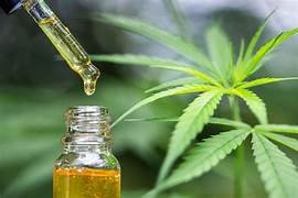 Tinctures, Infused Oil and Topical Salve