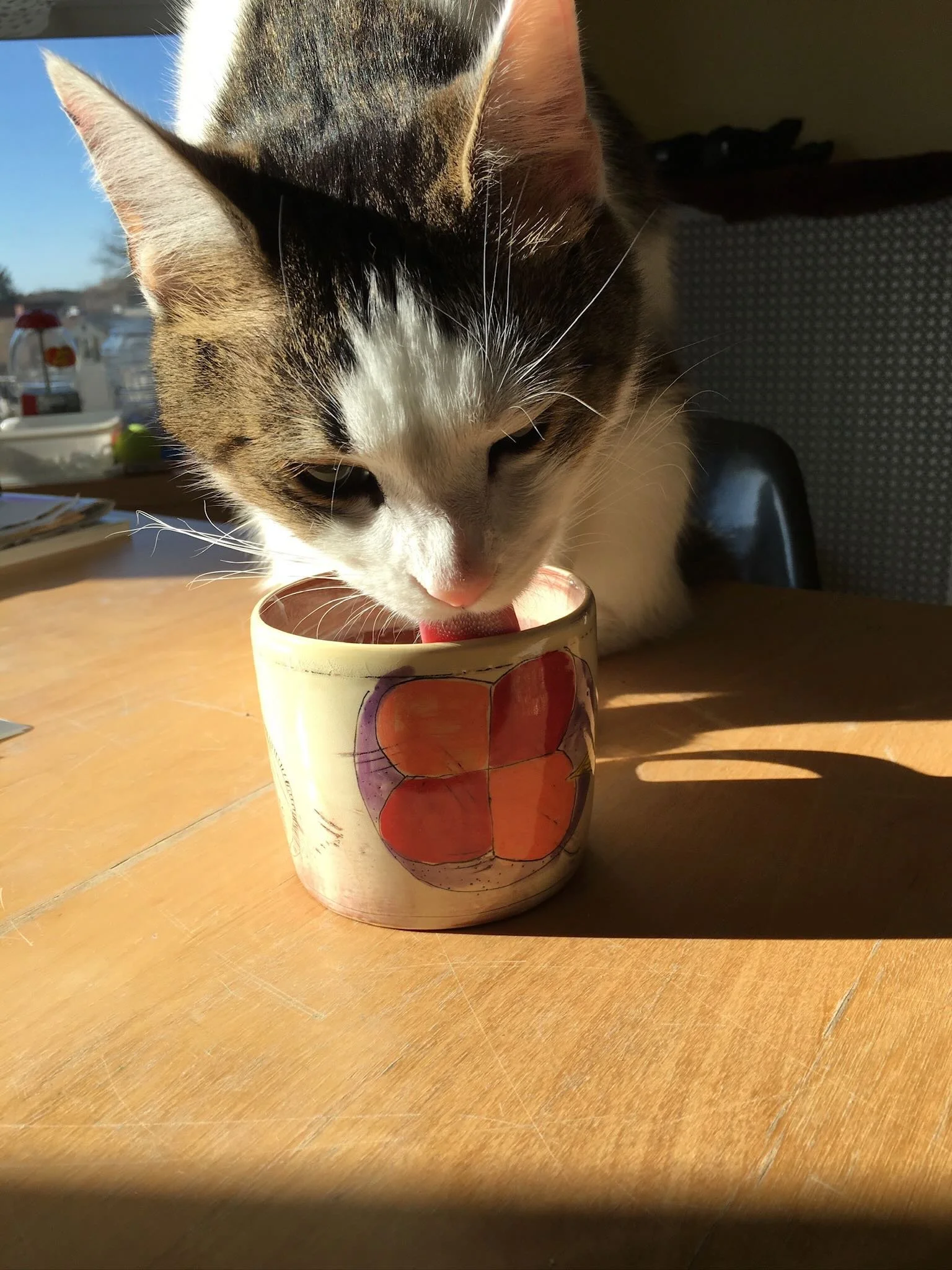 Kari Radasch_potsinaction - 5.jpeg