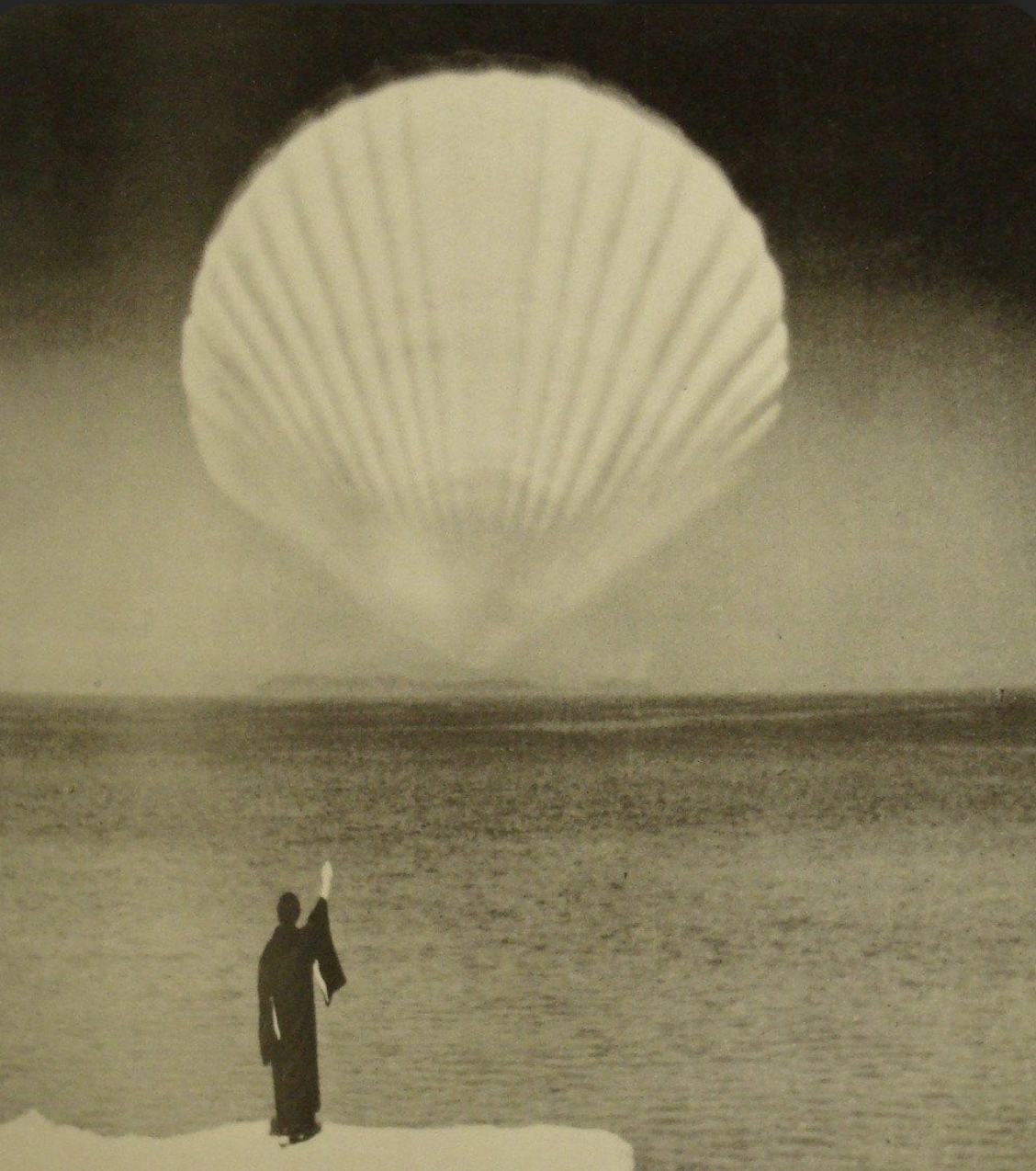 shell in the sky.png