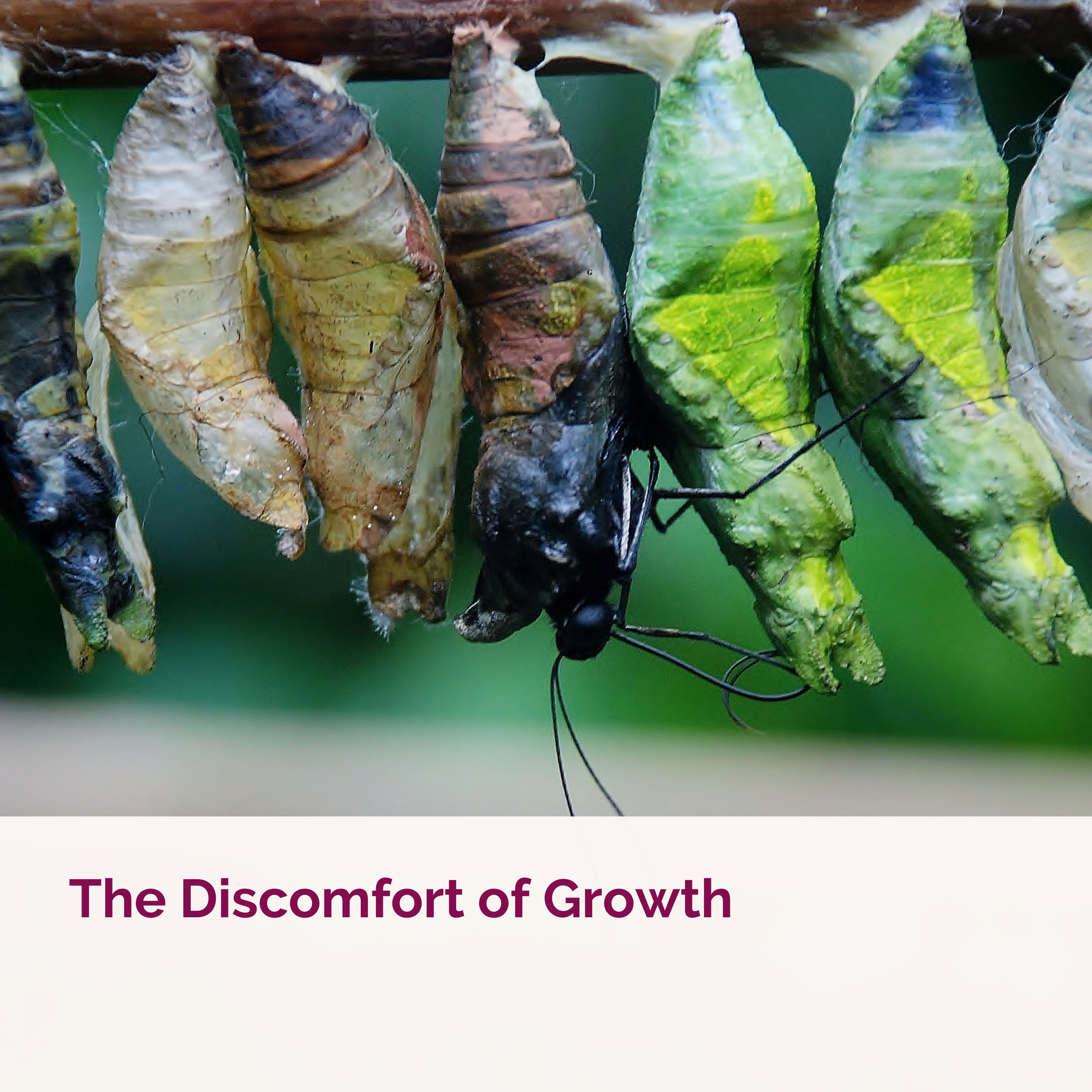 The Discomfort of Growth