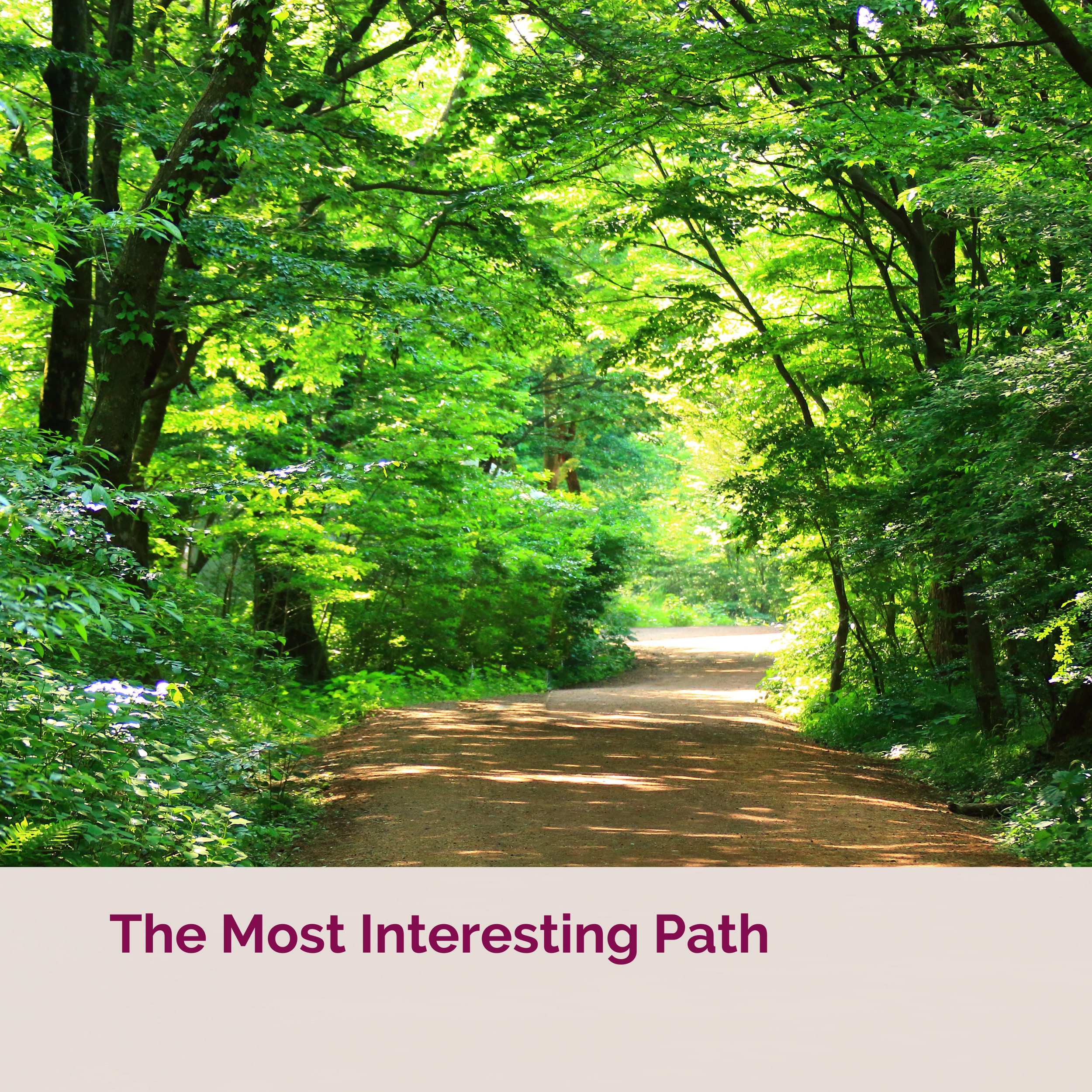 The Most Interesting Path