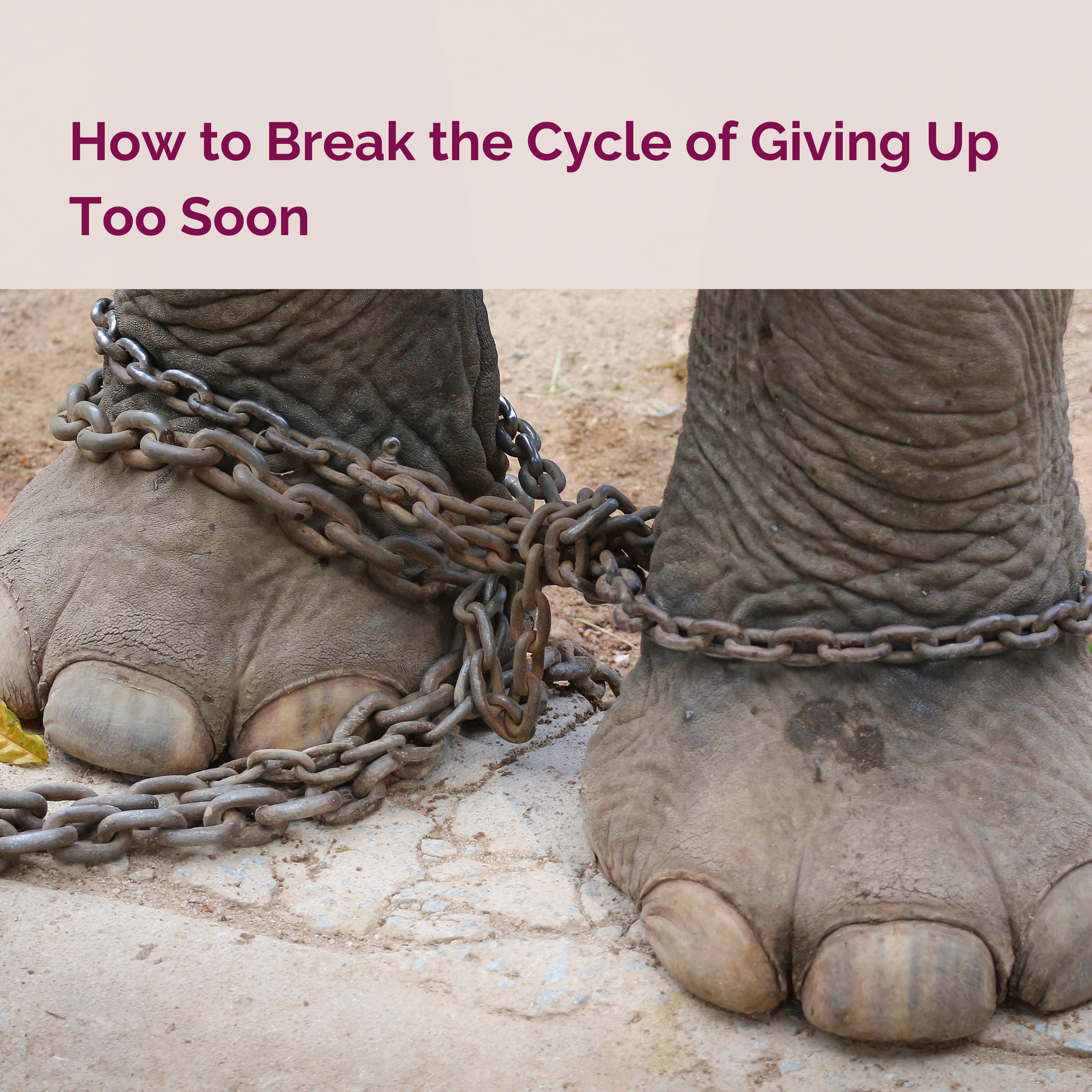 How to Break the Cycle of Giving Up Too Soon