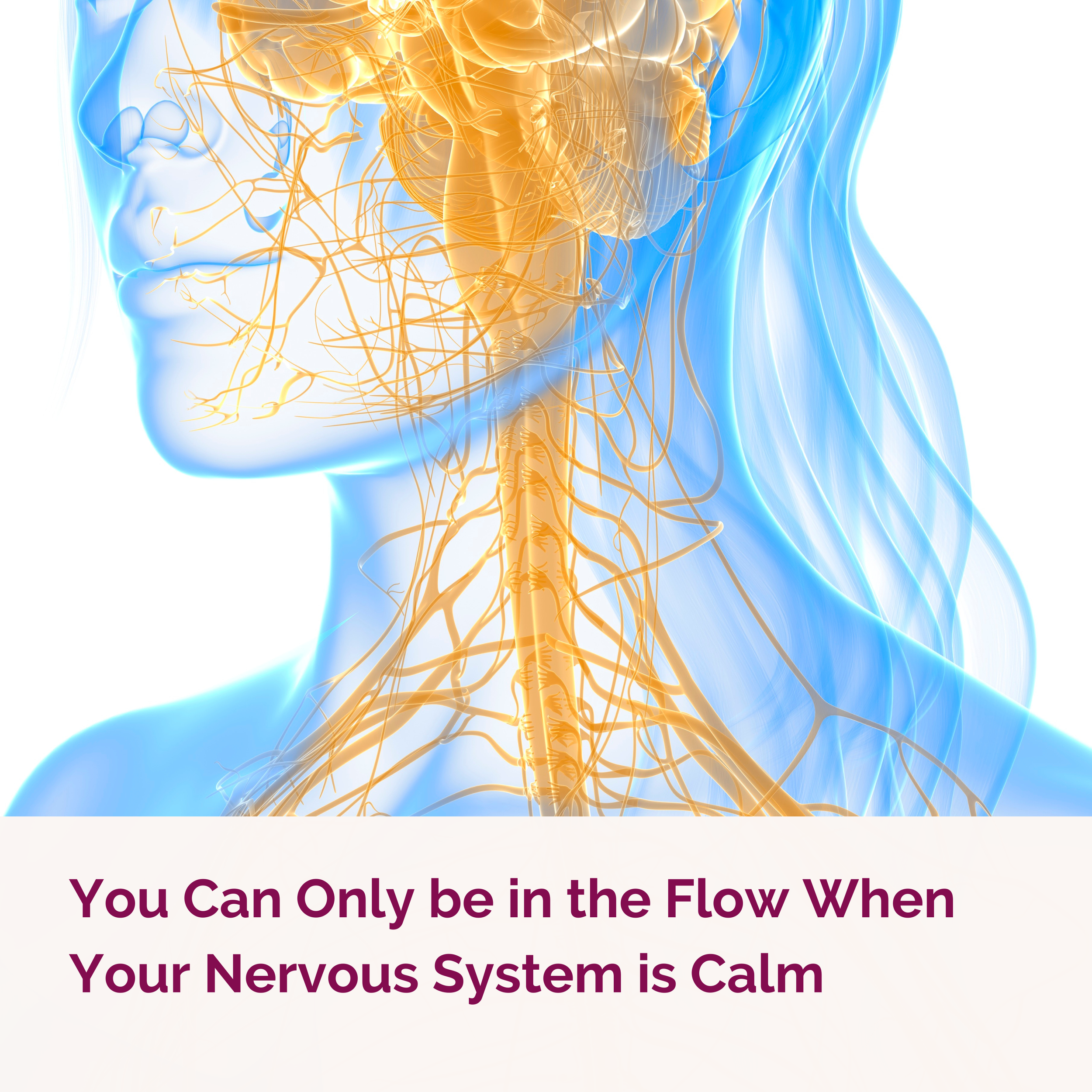 You Can Only be in the Flow When Your Nervous System is Calm