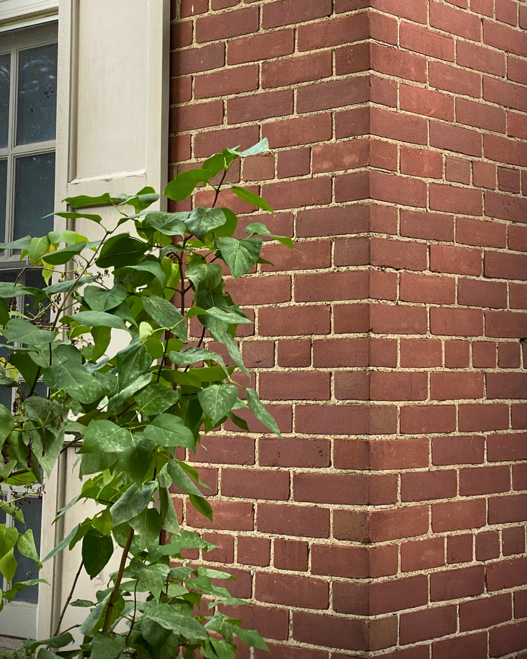 (Coming Soon!) 1940s 'Standard' Brick