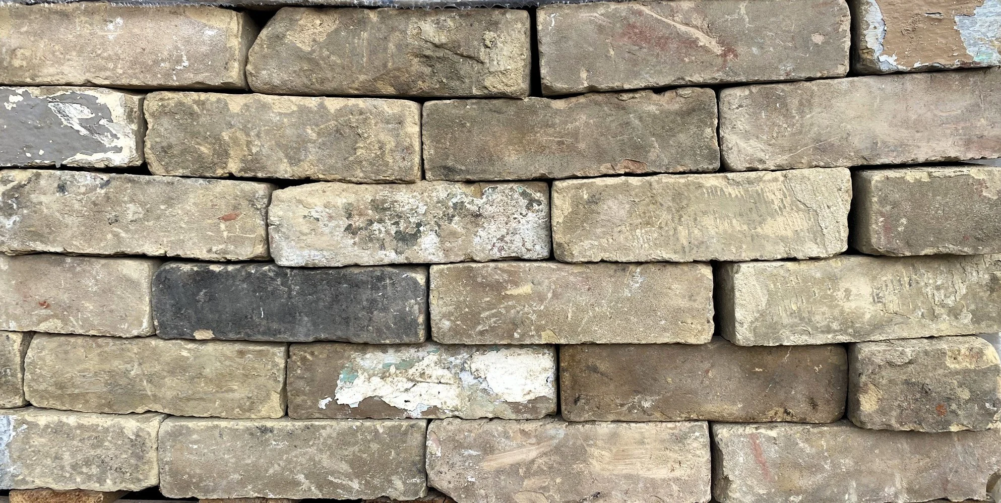 Wolfrey Buff Bricks