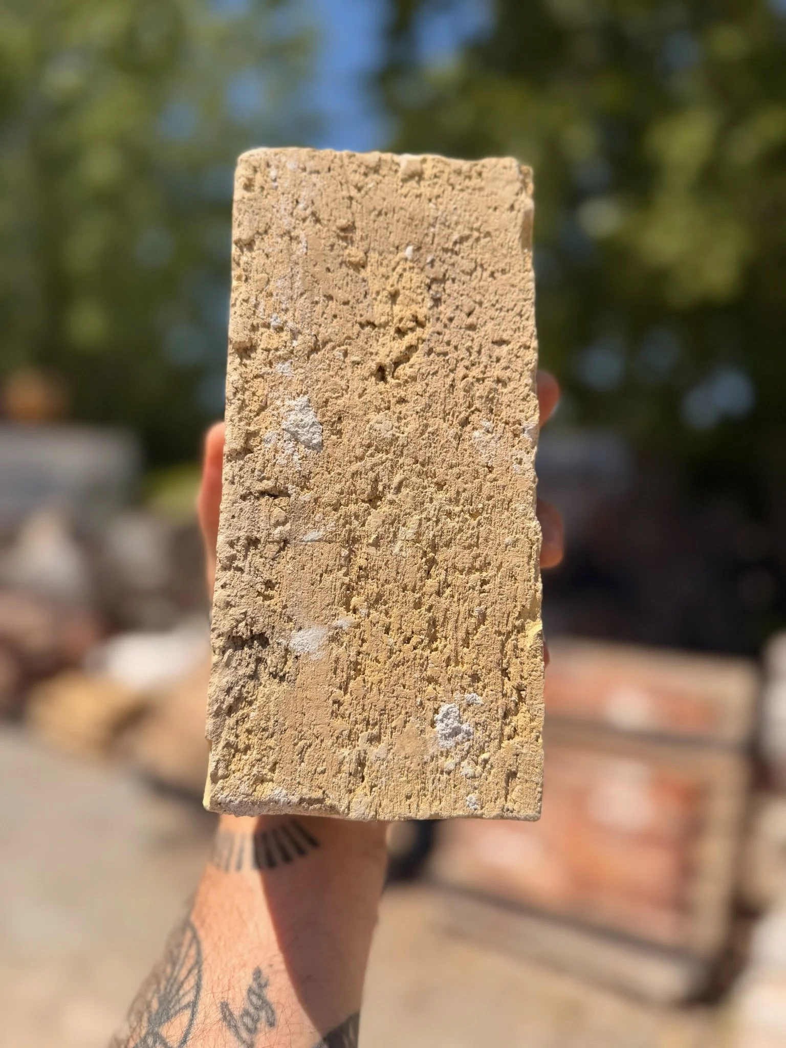 arcanamaterials_Brantford-Buff-reclaimedbrick-6.jpg