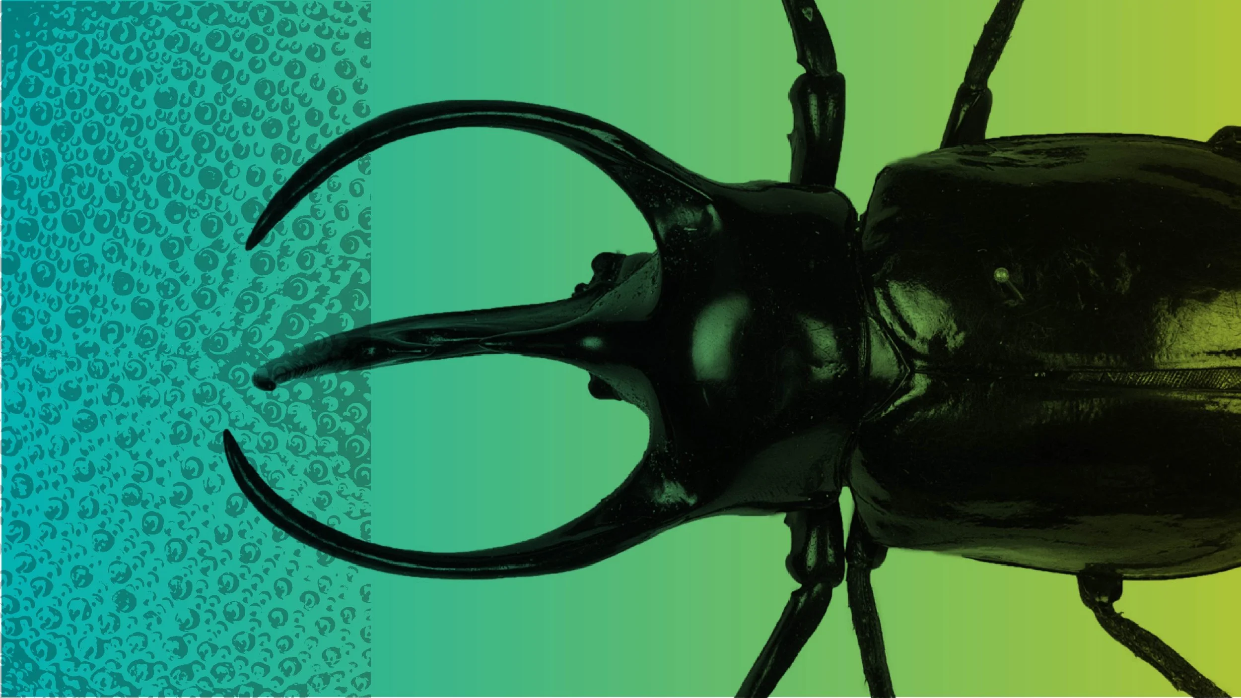 Entomological Society of America (ESA)