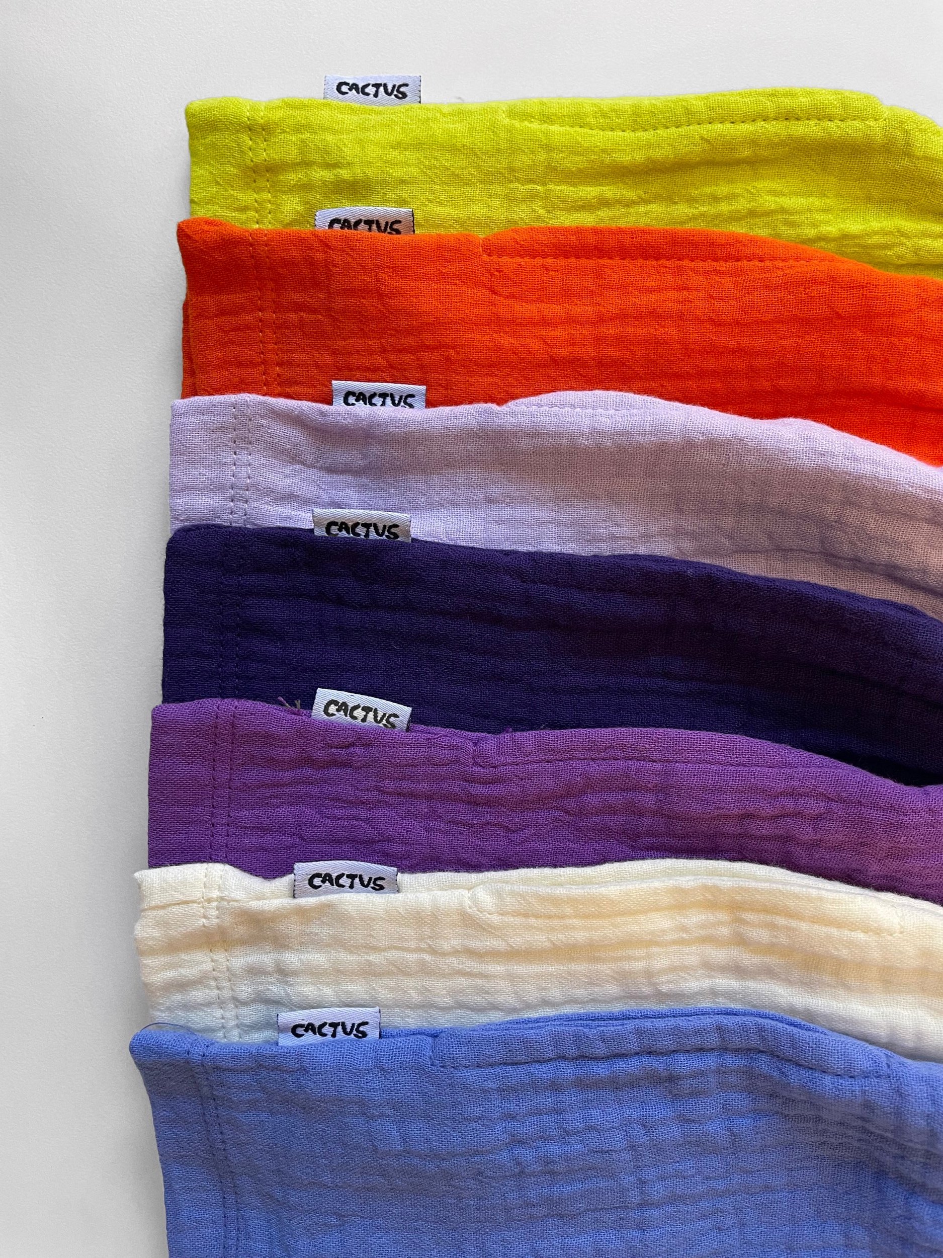 cactus+kidswear+monochrome+colors+flag+label.jpg