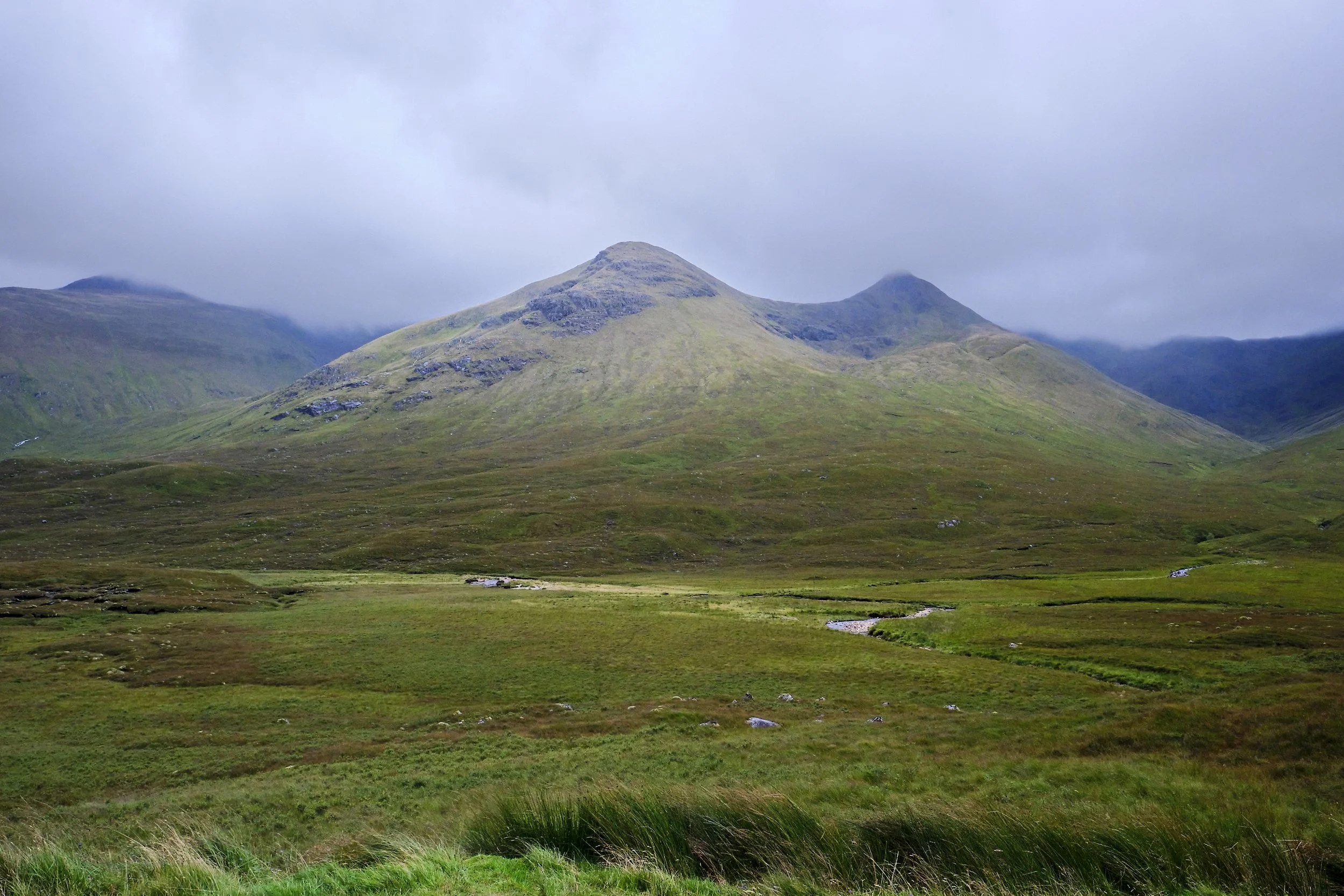 DSCF9806.jpg