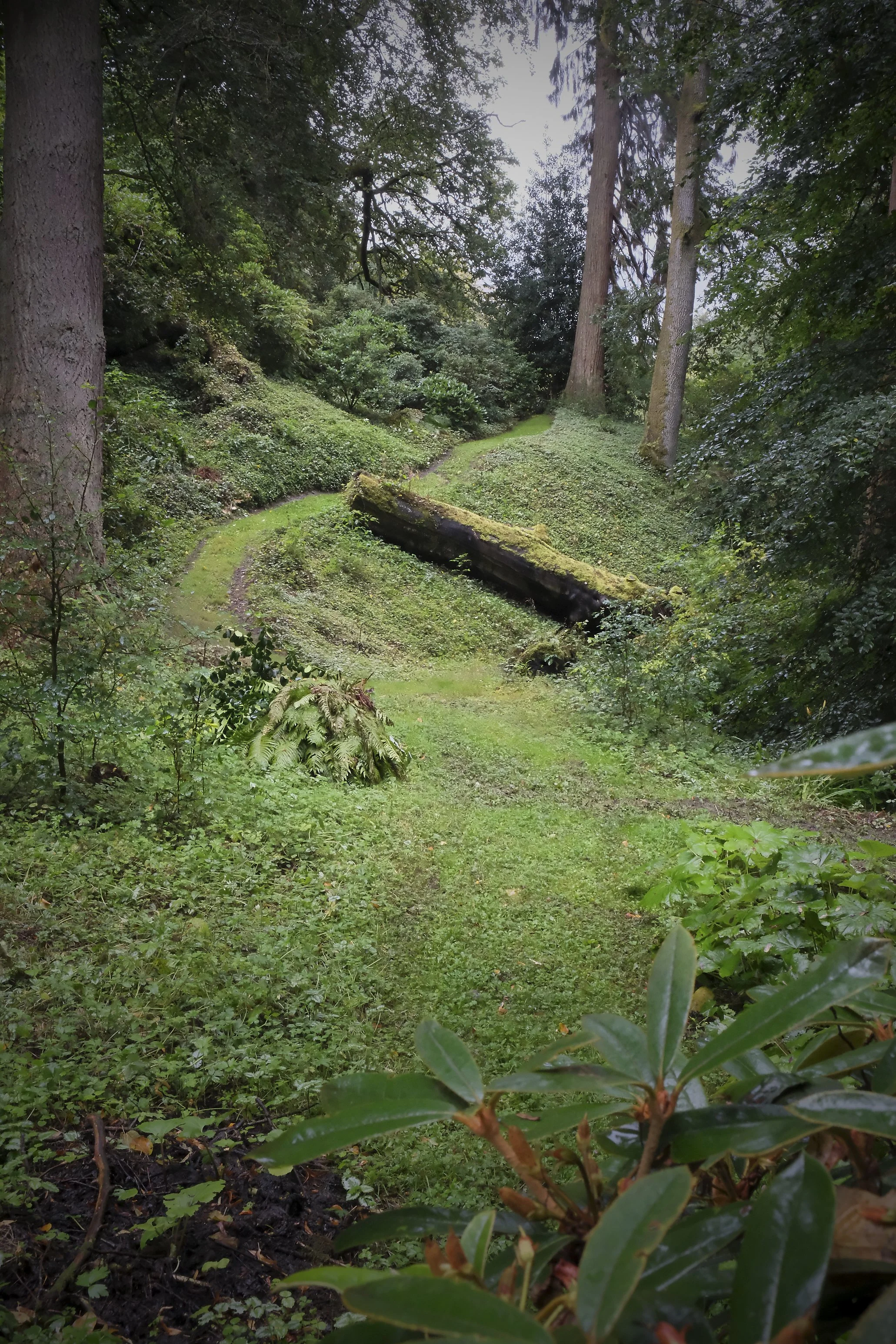 DSCF9668.jpg