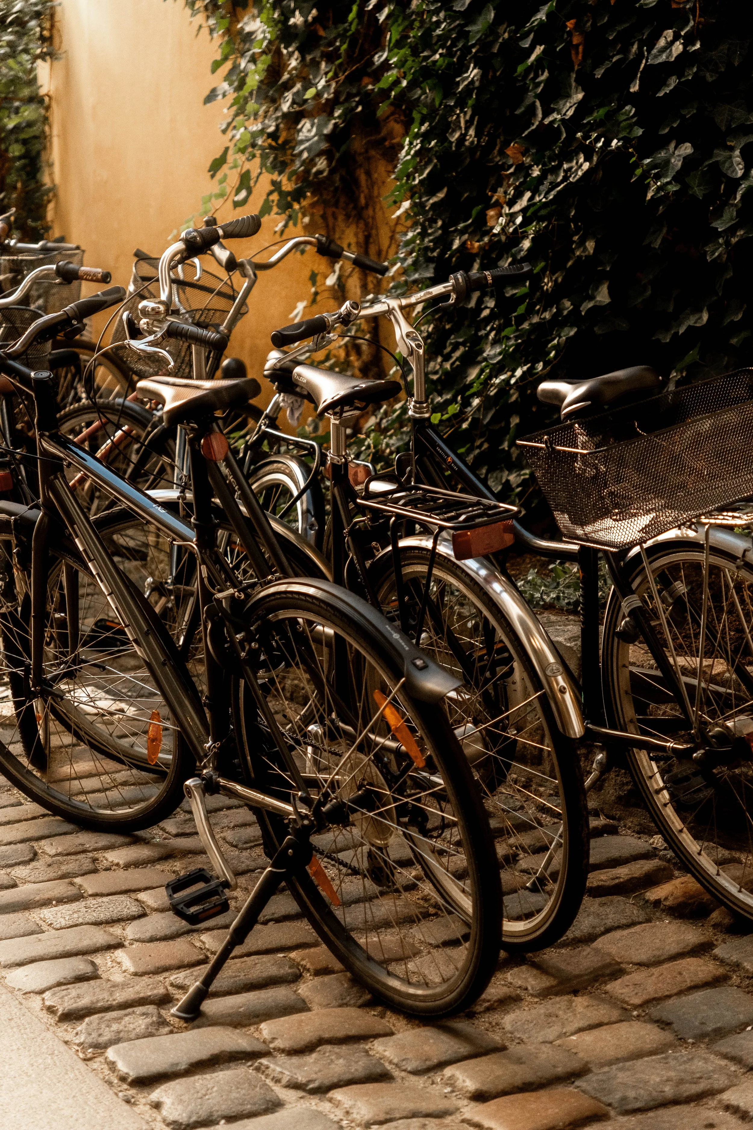 02012026_cphdk-delilahg-1048.jpg