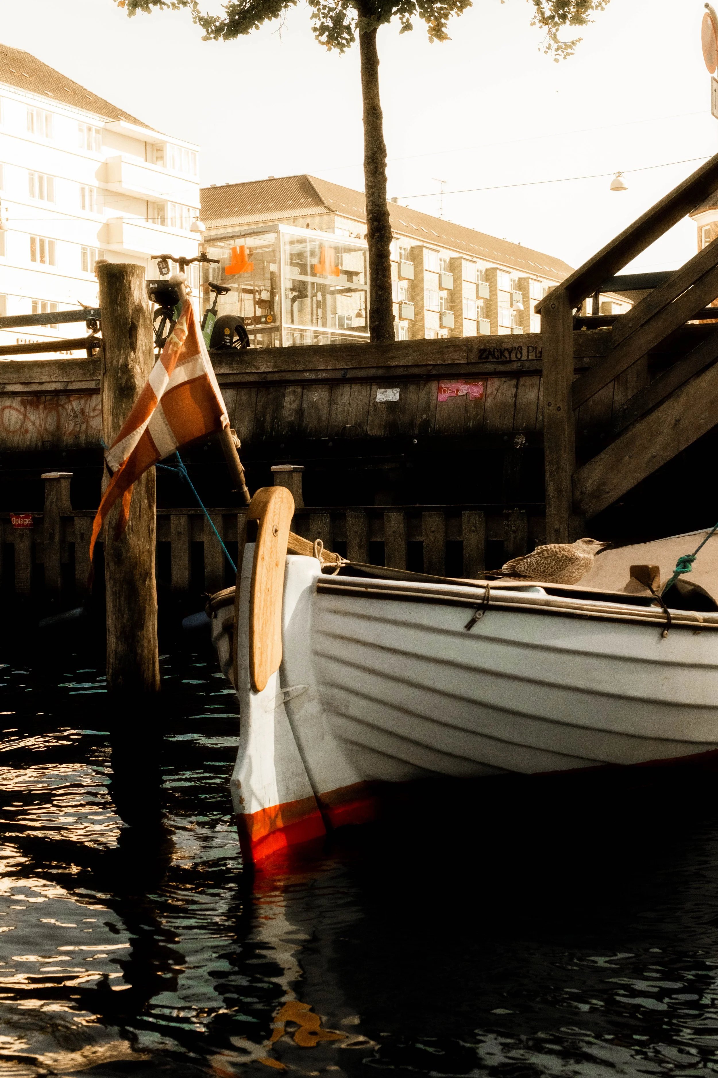 02012026_cphdk-delilahg-1183.jpg