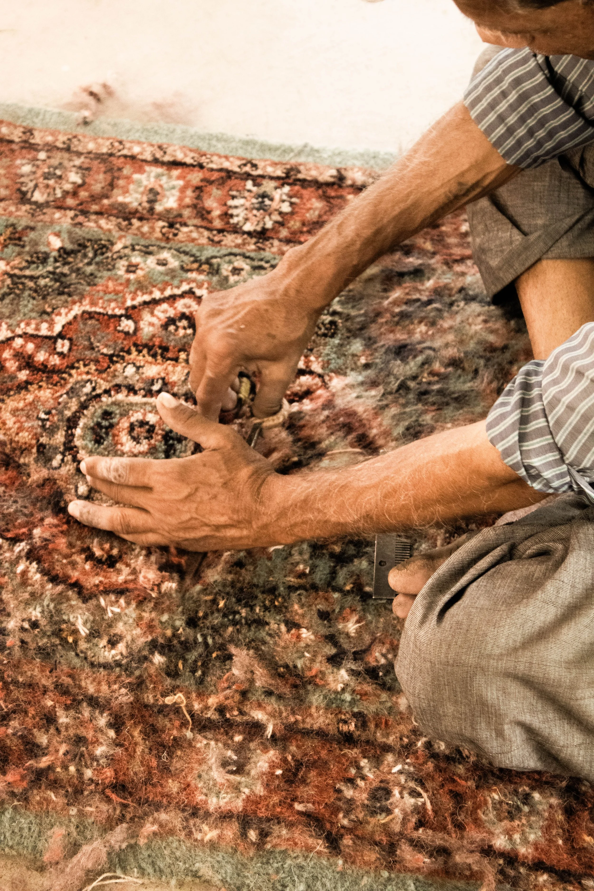 Jaipur, India - March 2025