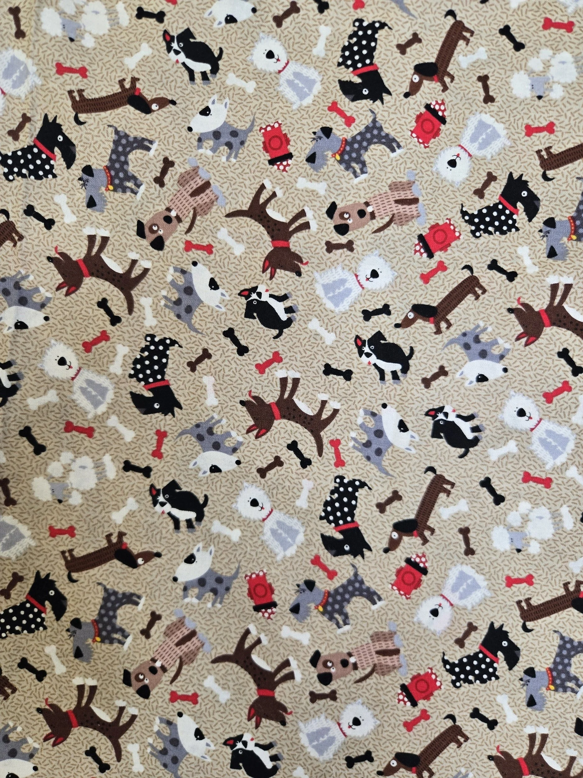 Dog Toss