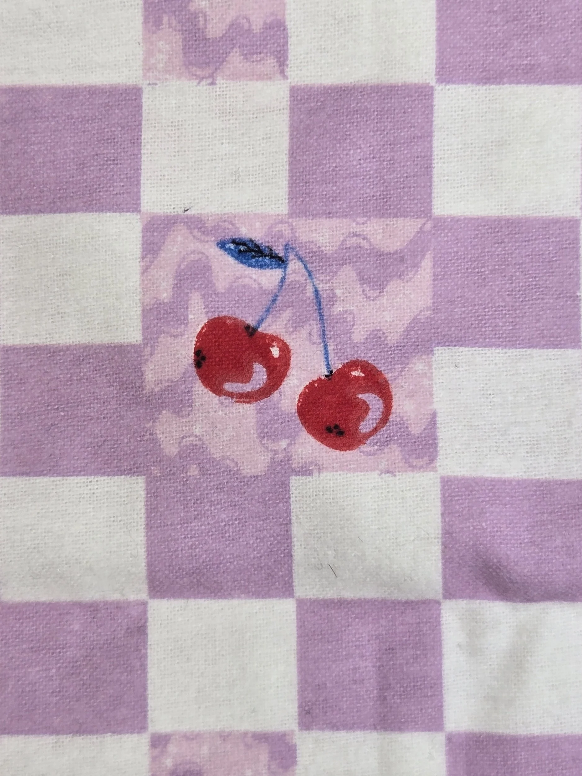 Gen Z Checkers and Cherries - Flannel