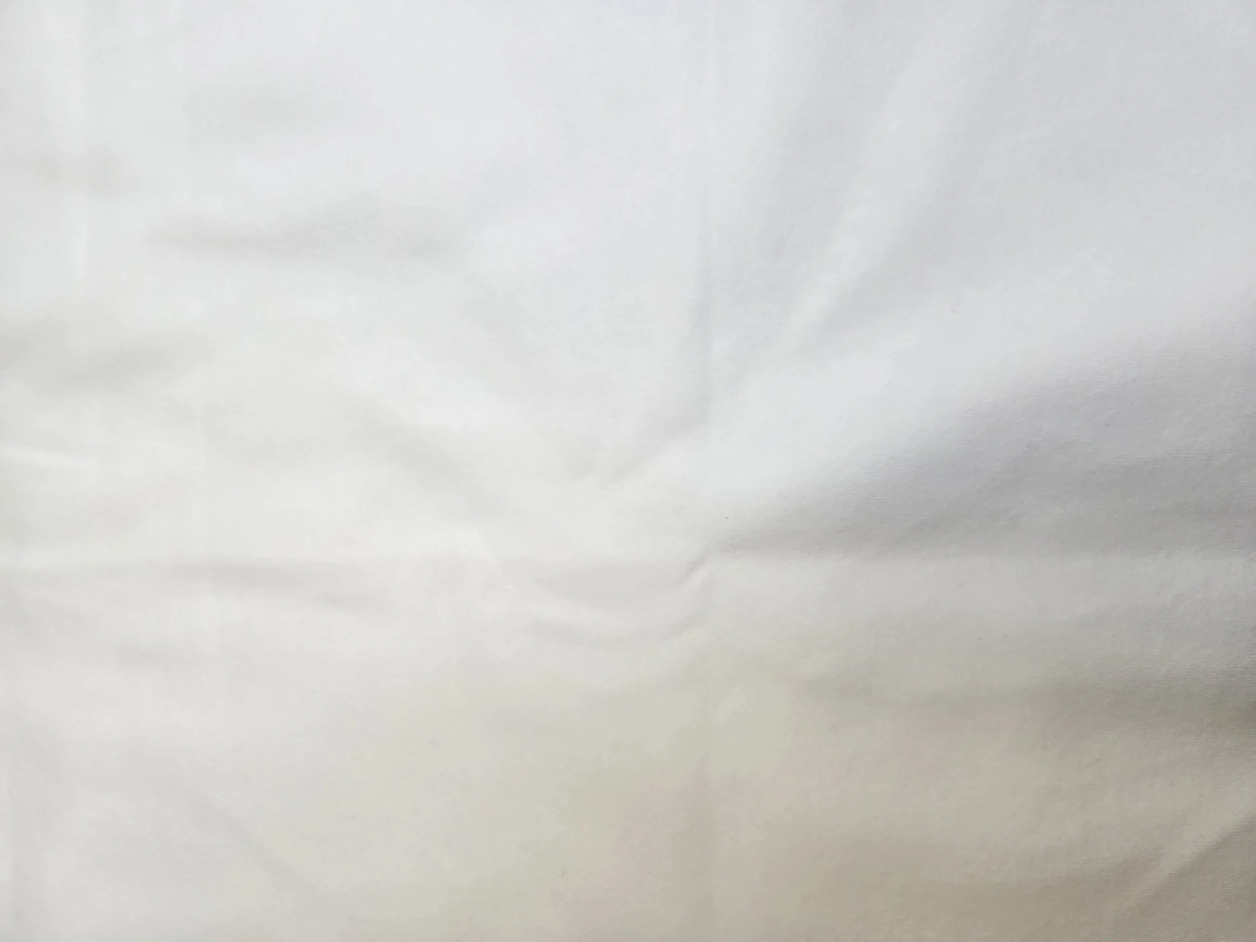processed_1000023145.jpg