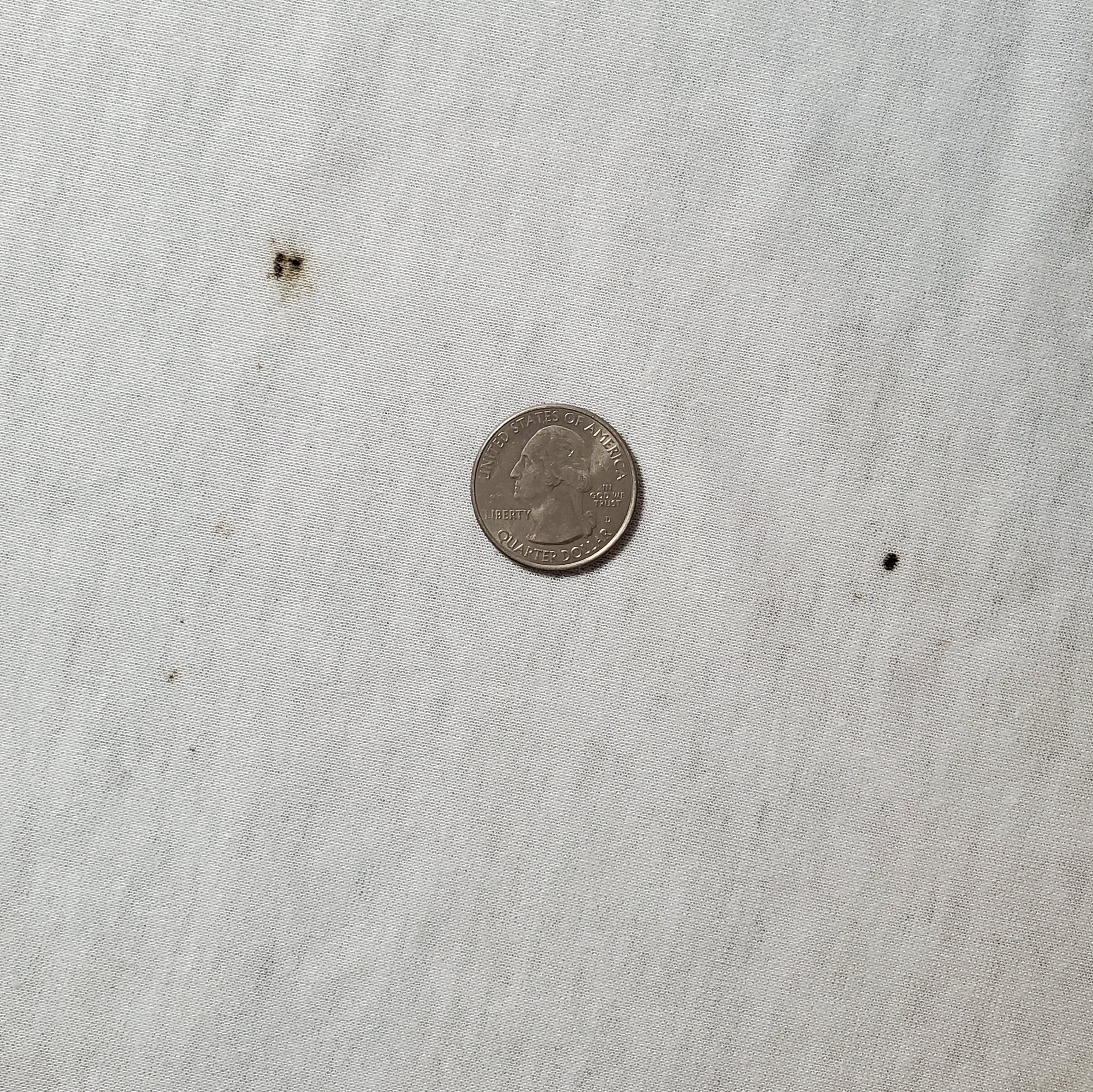 20241014_100345.jpg