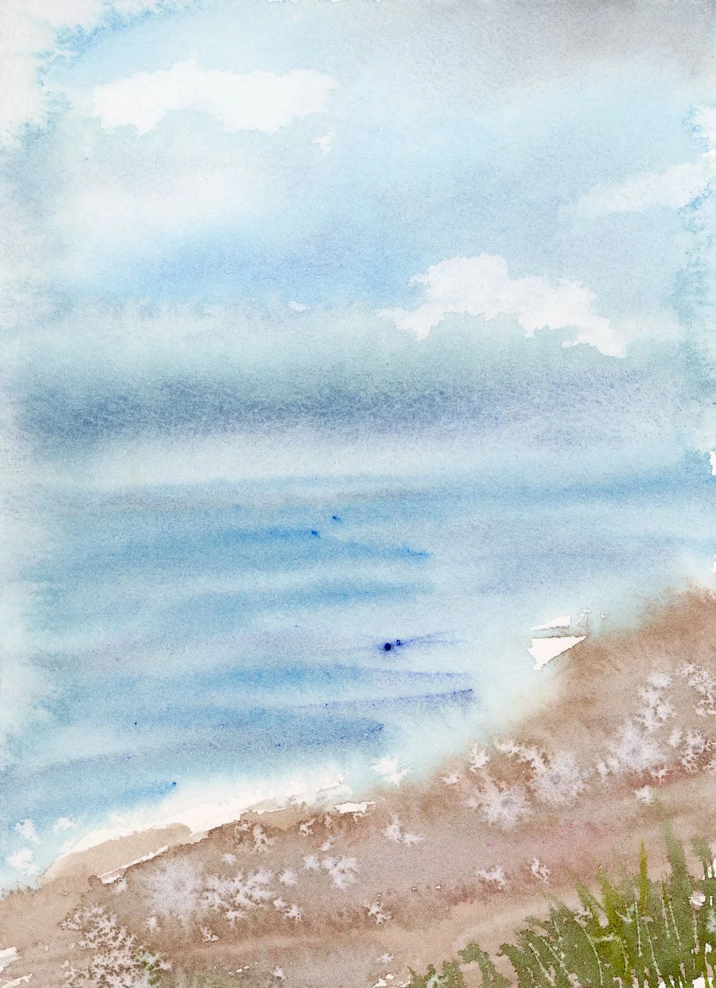 Outer Banks - Beach Impressions_1764987533.54651.jpg