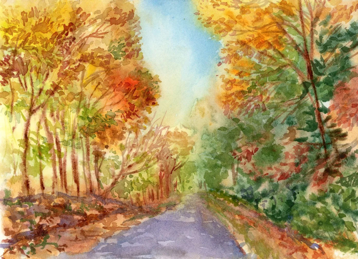 Fall Drive on the Parkway - Landscape_1764987533.748553.jpg