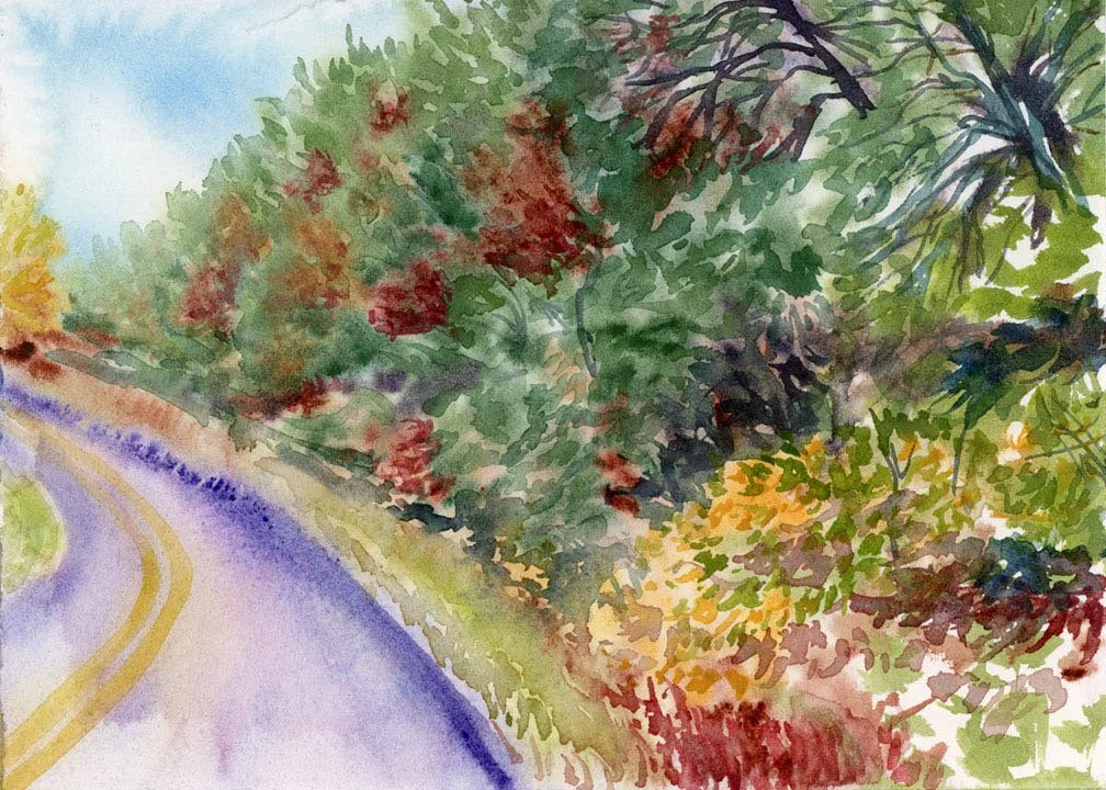 Driving on the Parkway_1764987533.6843681.jpg