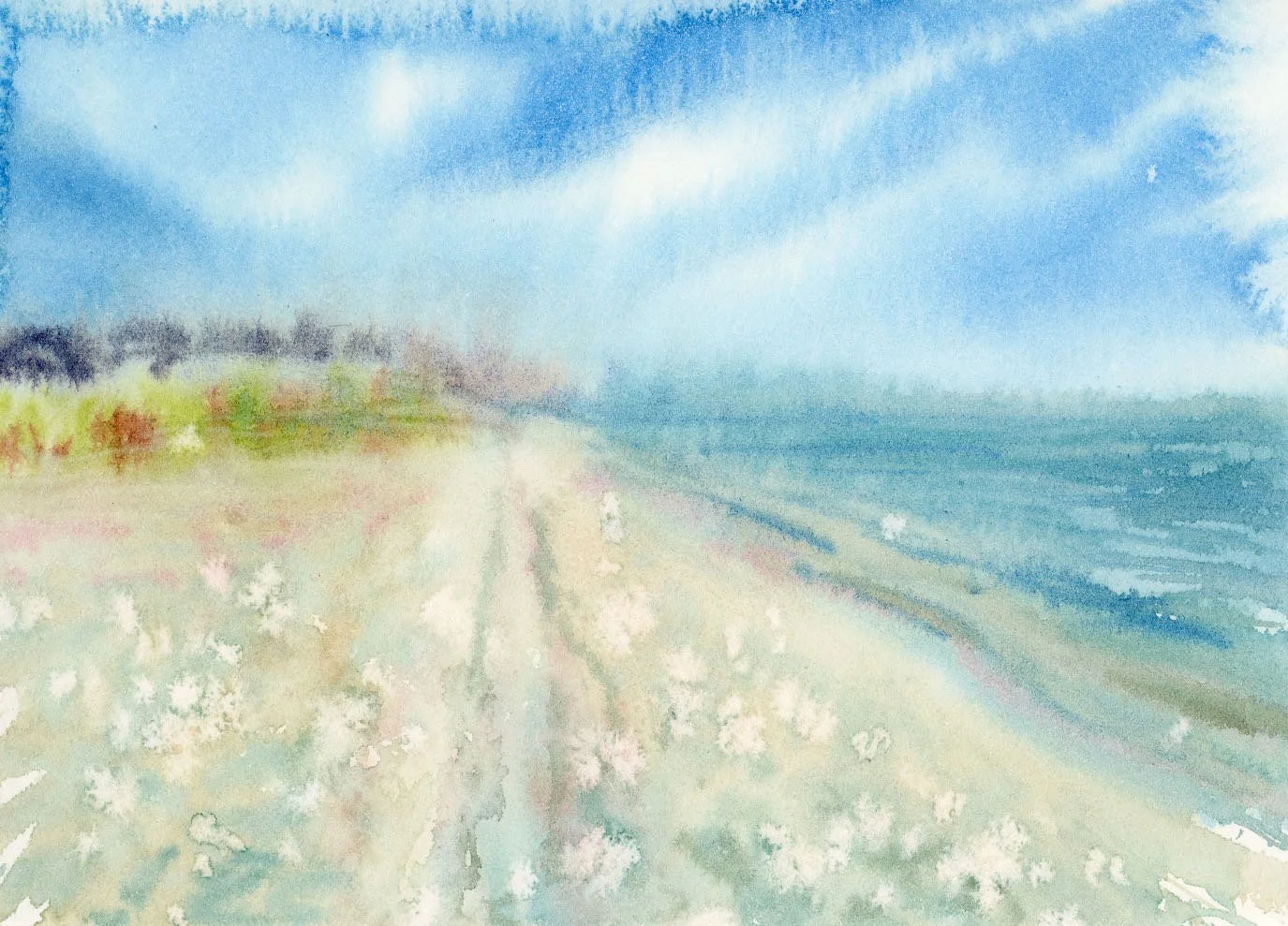Outer Banks_ Impressions on the Sand_1764987533.4744148.jpg